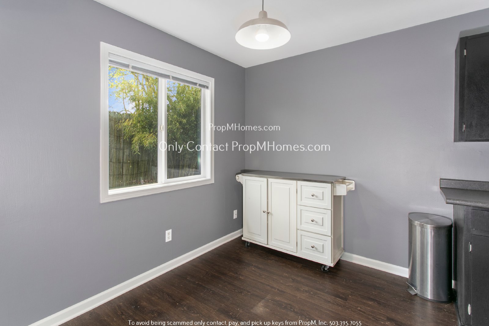 Lovely Two Bedroom Duplex In North Portland W/ Beautiful Backyard! property image