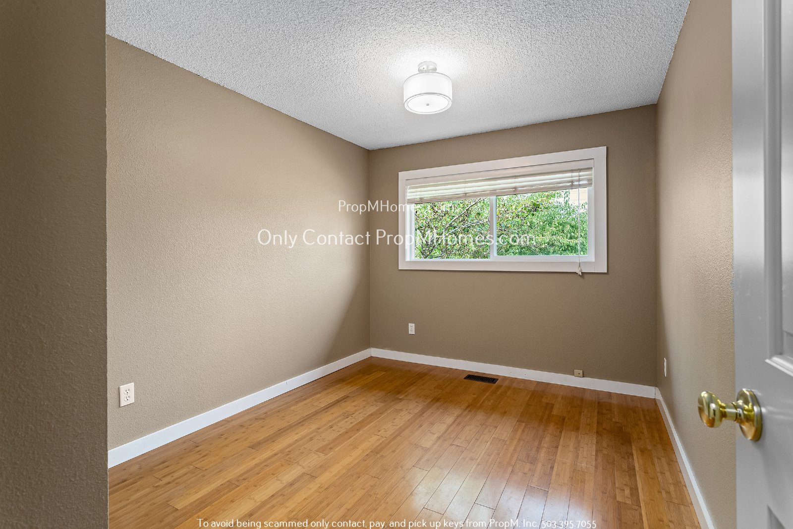 Updated 3 Bedroom Home with Hardwood Flooring - Many Fruit Trees! property image