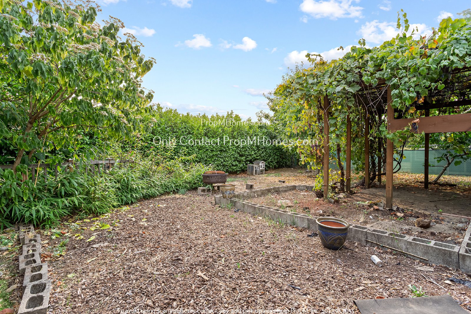 Updated 3 Bedroom Home with Hardwood Flooring - Many Fruit Trees! property image