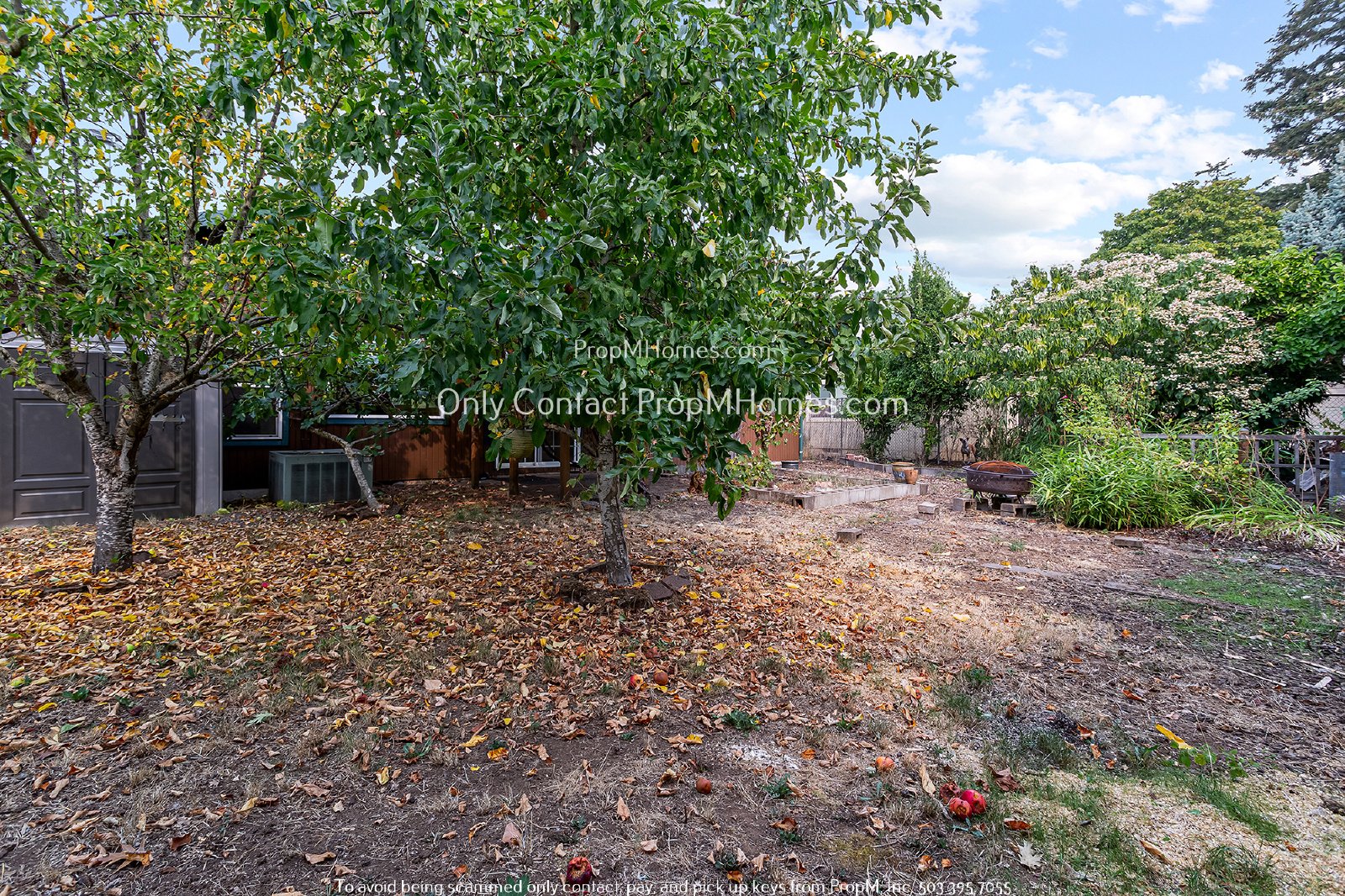 Updated 3 Bedroom Home with Hardwood Flooring - Many Fruit Trees! property image