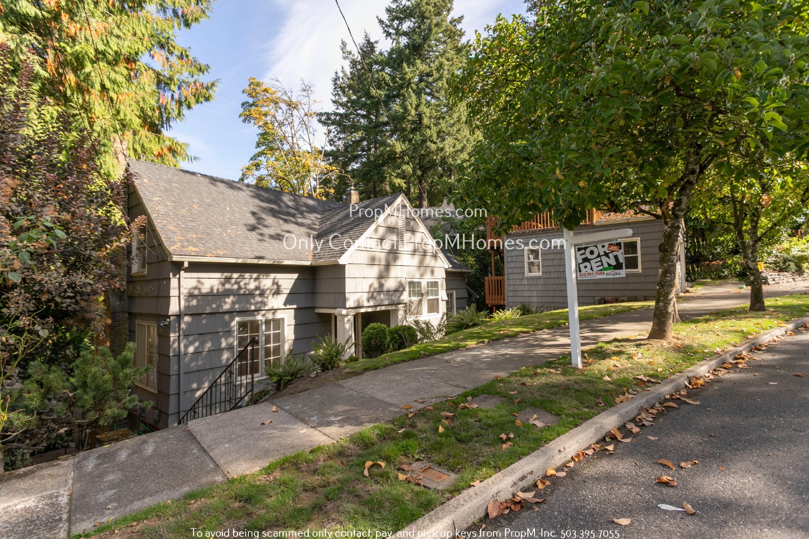 Spacious 3 Bedroom Home with Charm, Versatility, and Prime Location! property image