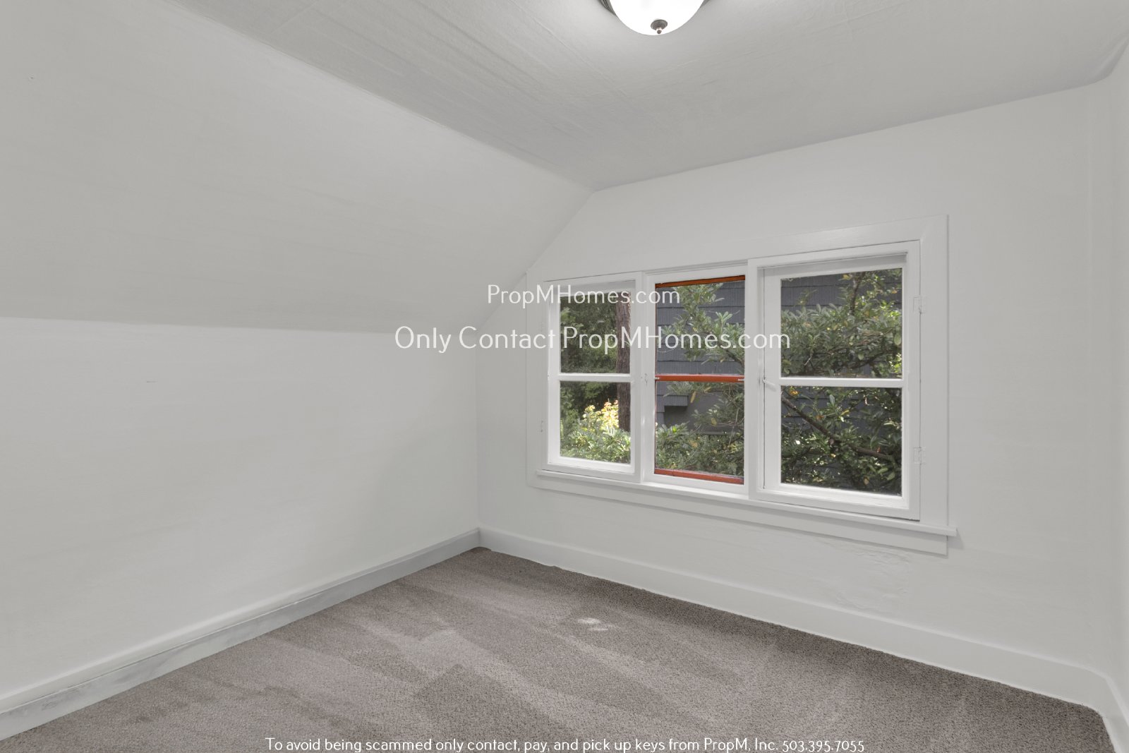 Spacious 3 Bedroom Home with Charm, Versatility, and Prime Location! property image
