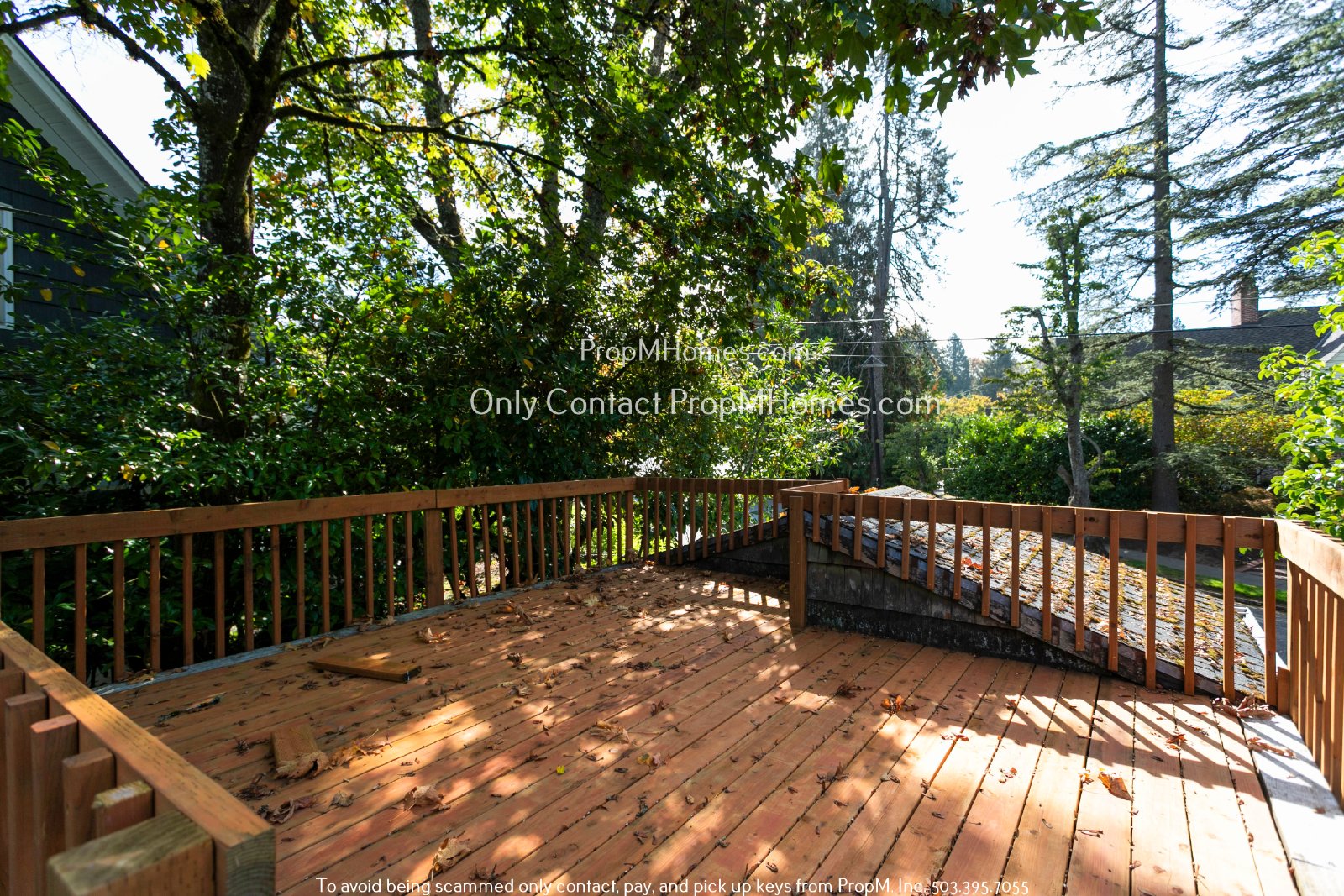 Spacious 3 Bedroom Home with Charm, Versatility, and Prime Location! property image