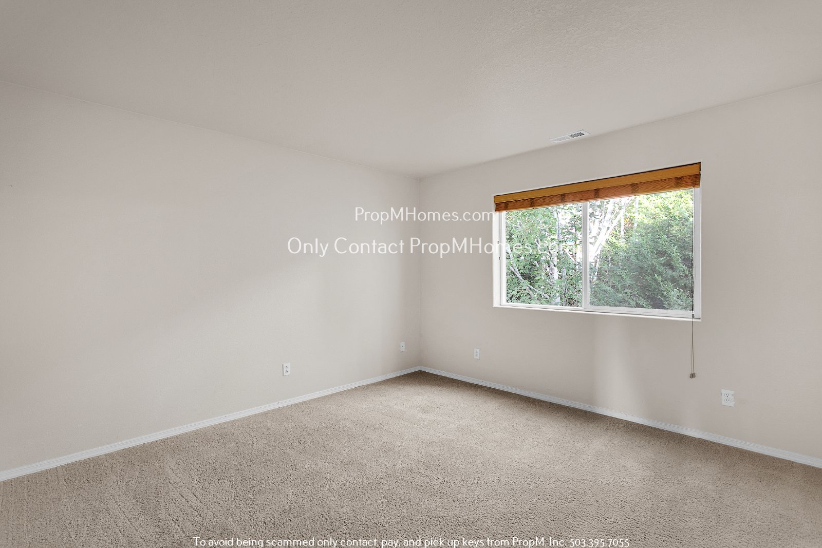 Three Bedroom Home Near Progress Ridge! property image