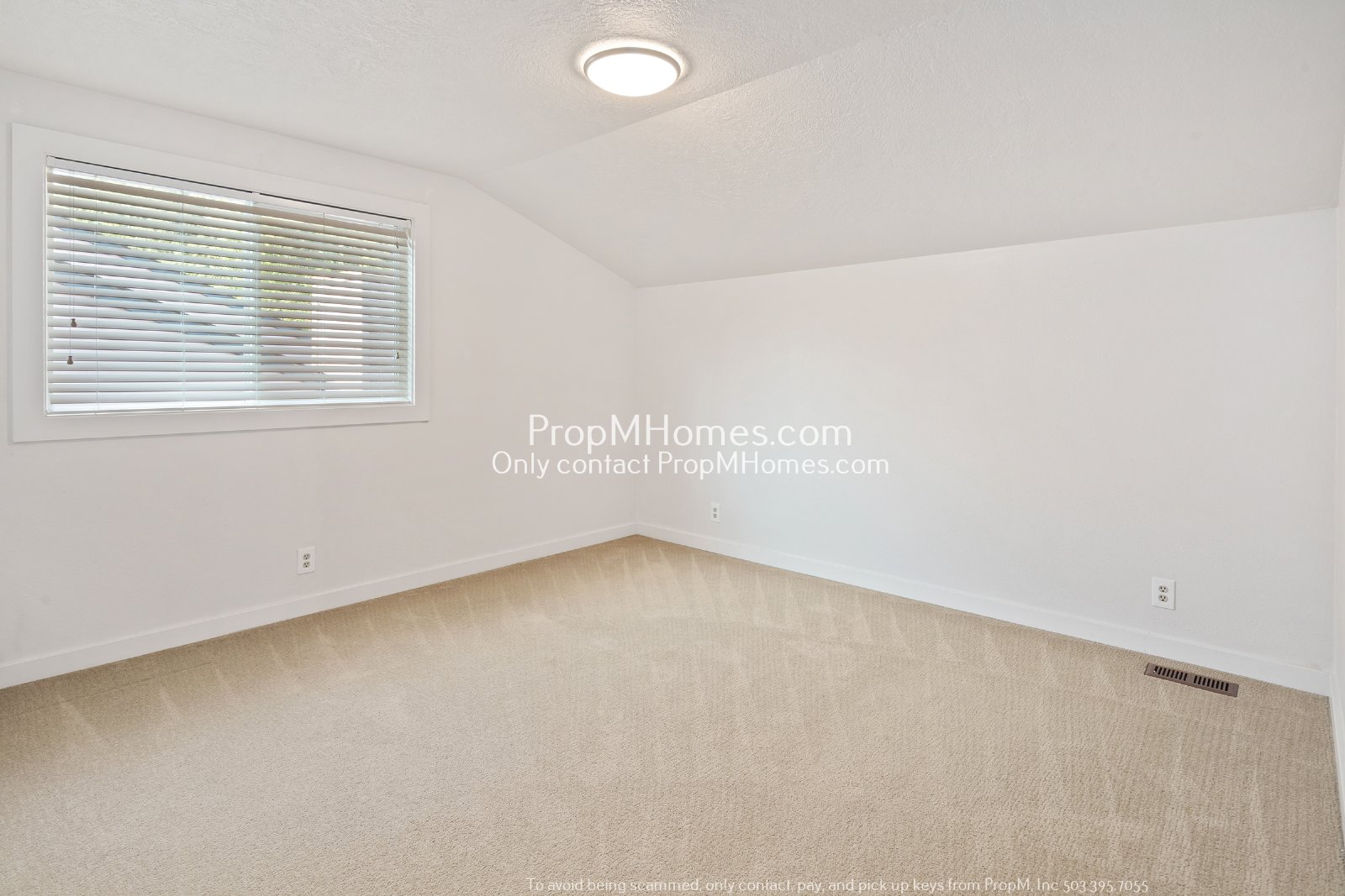 Three Bedroom Gem with Bonus Room in Oak Creek Oasis! DEPOSIT SPECIAL property image