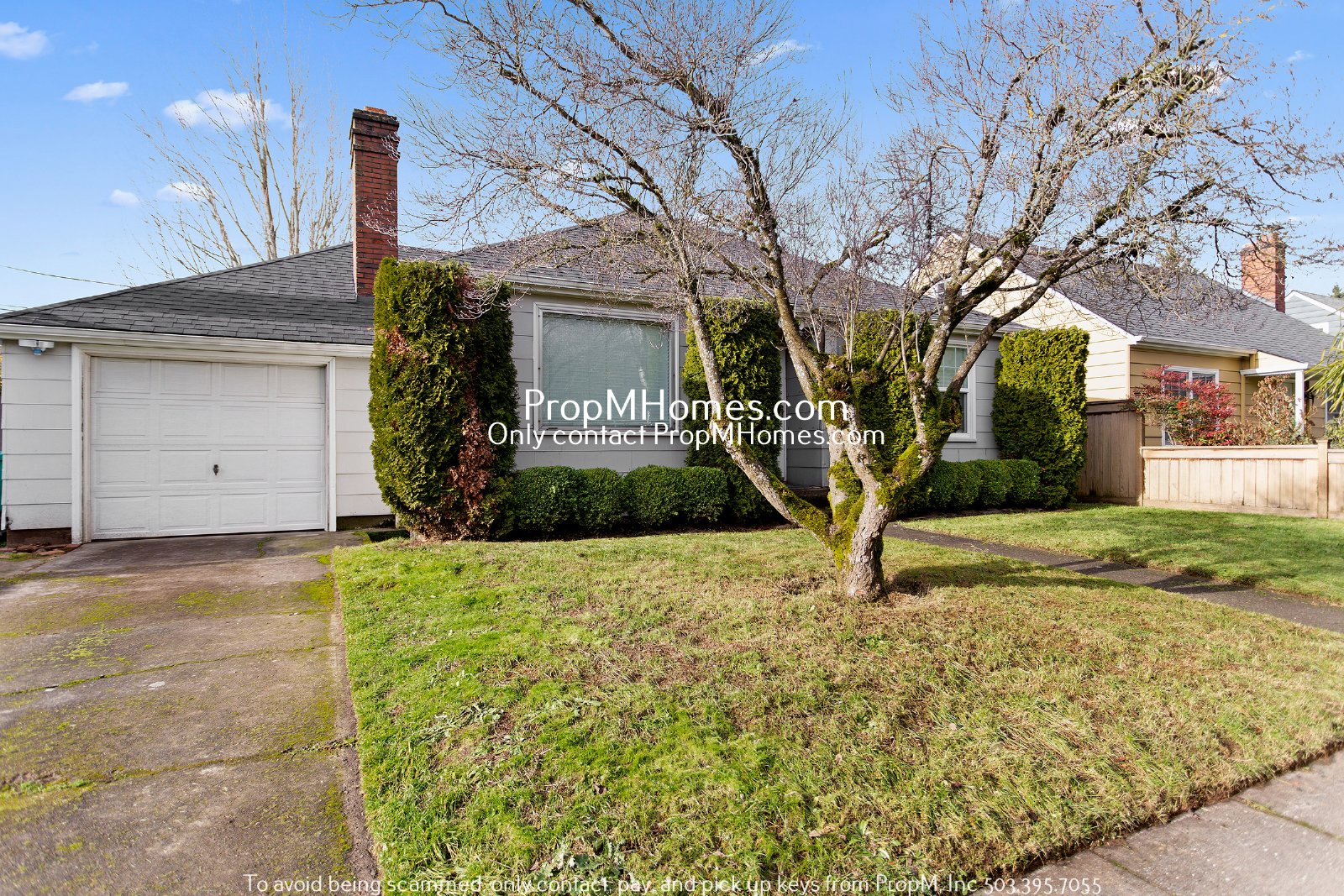 Lovely Modern Two Bedroom Home In North Portland! property image