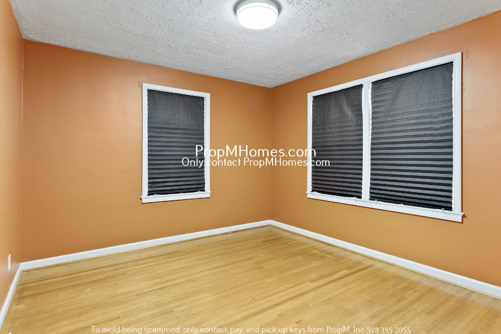 Lovely Modern Two Bedroom Home In North Portland! property image