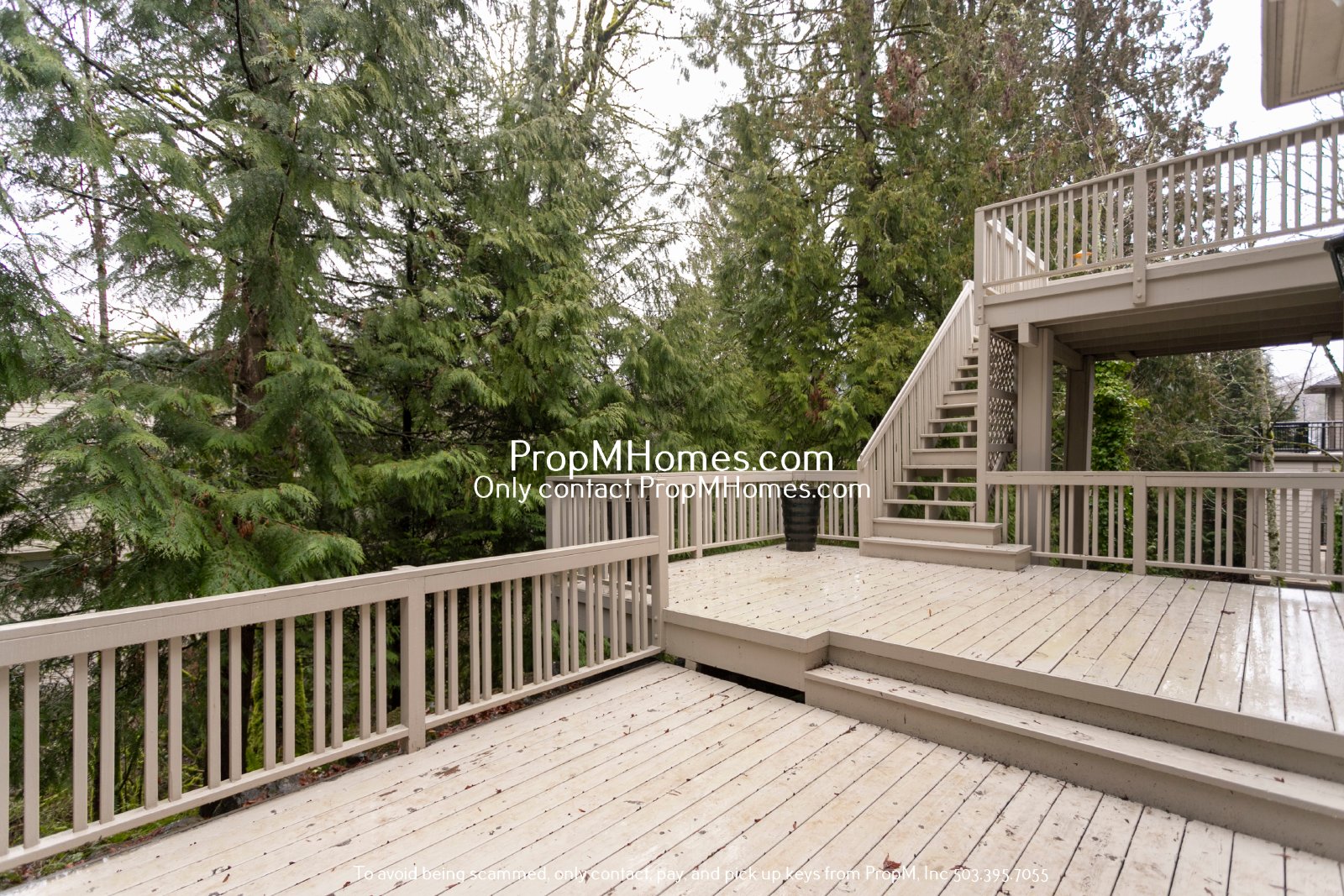 Luxury Living in the Persimmon Community - Four Bedrooms! property image