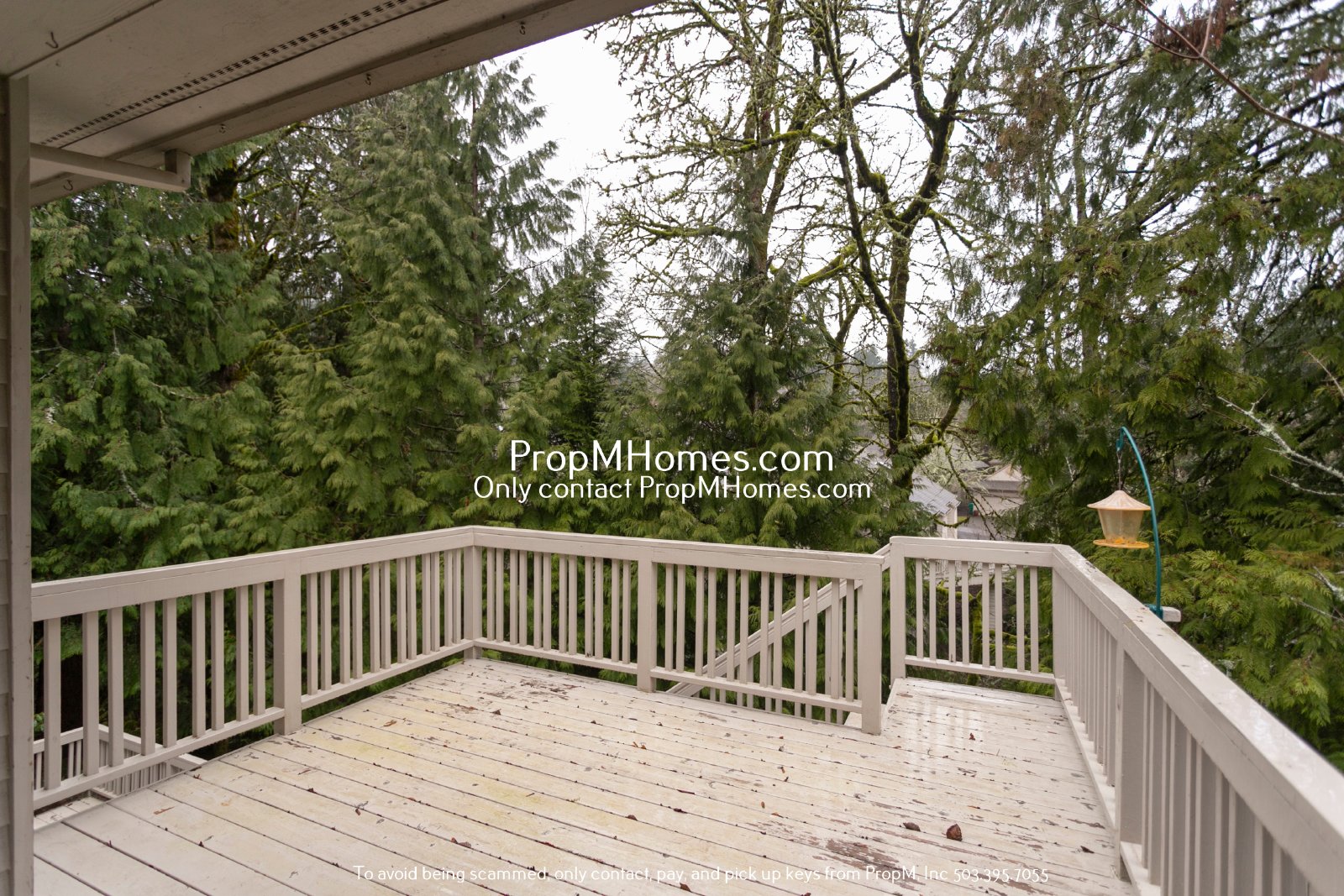 Luxury Living in the Persimmon Community - Four Bedrooms! property image