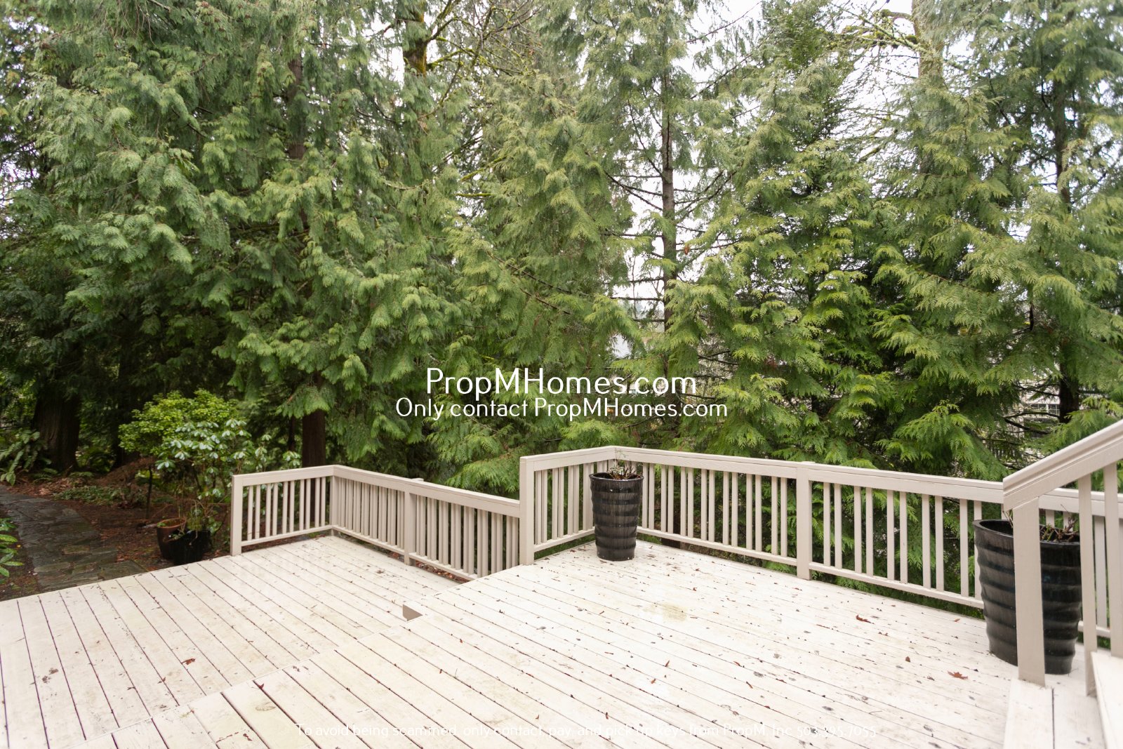 Luxury Living in the Persimmon Community - Four Bedrooms! property image