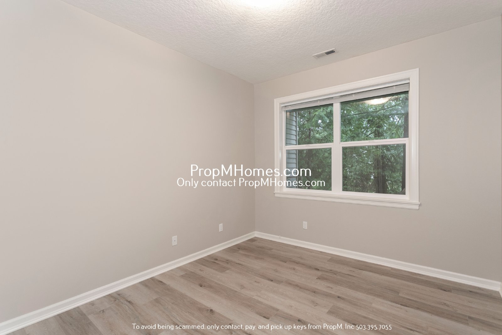 Luxury Living in the Persimmon Community - Four Bedrooms! property image