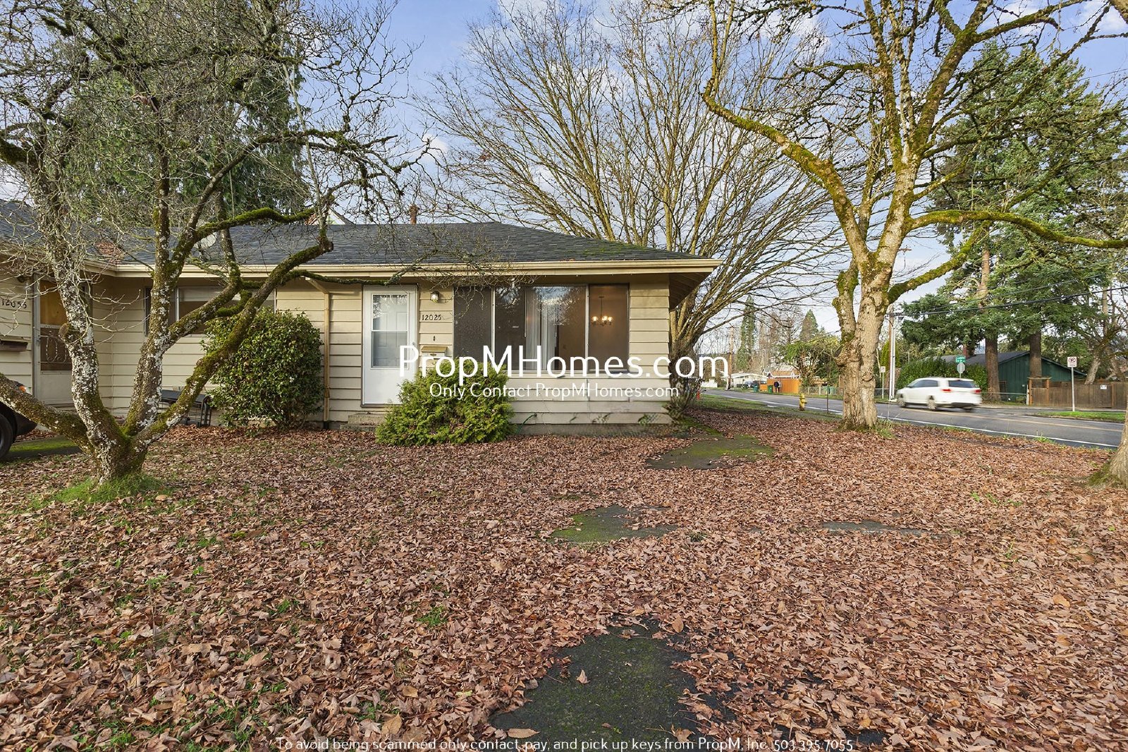 Charming Two Bedroom Duplex in Vose Neighborhood - Corner Lot! property image