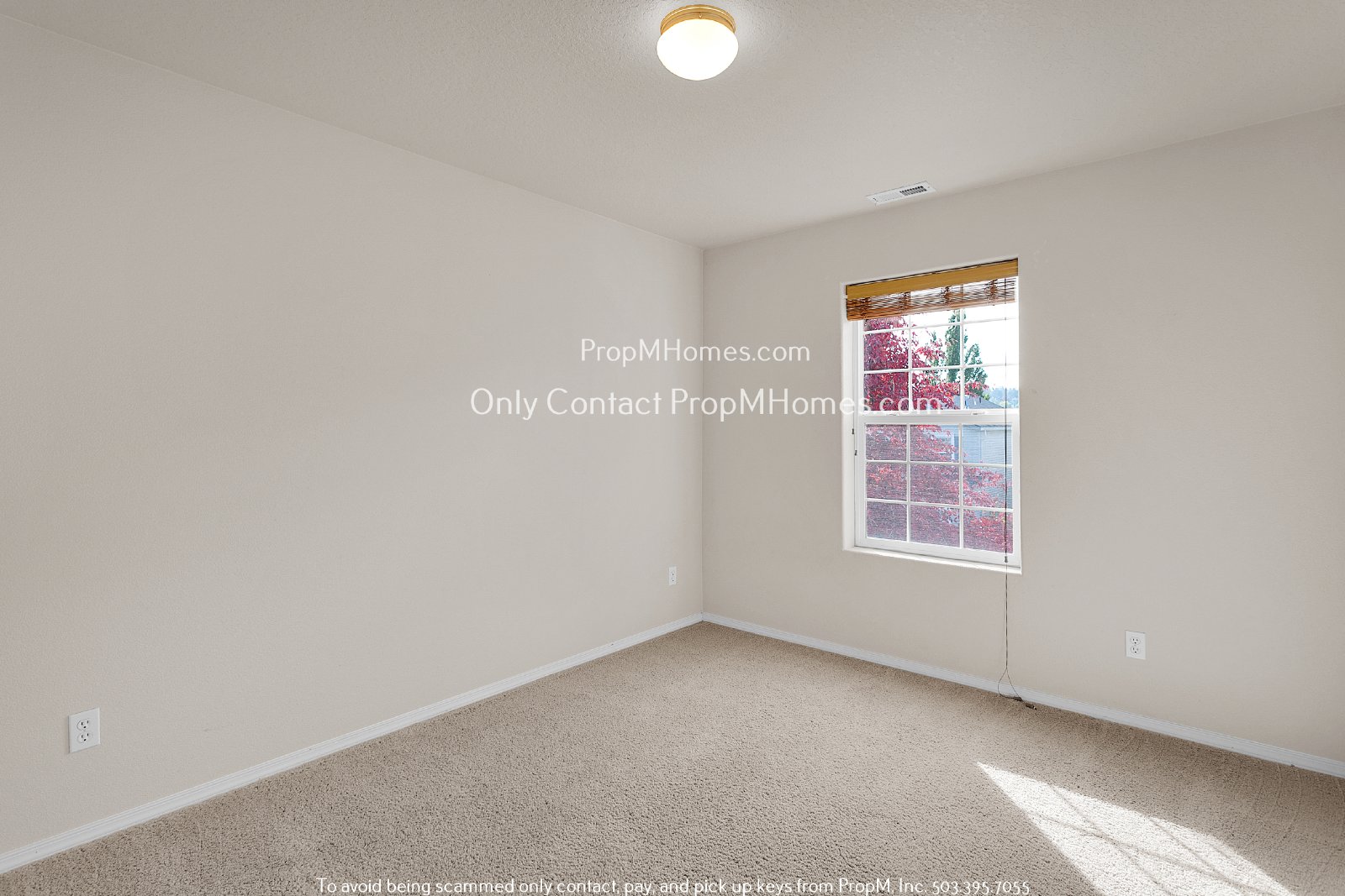 Three Bedroom Home Near Progress Ridge! property image