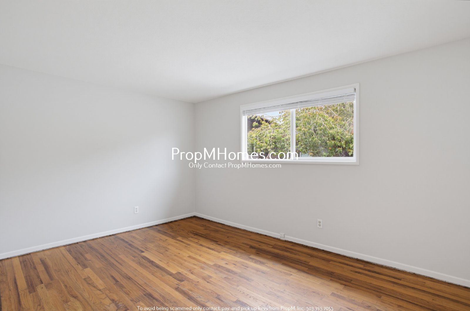 Charming Two Bedroom Duplex in SW! property image