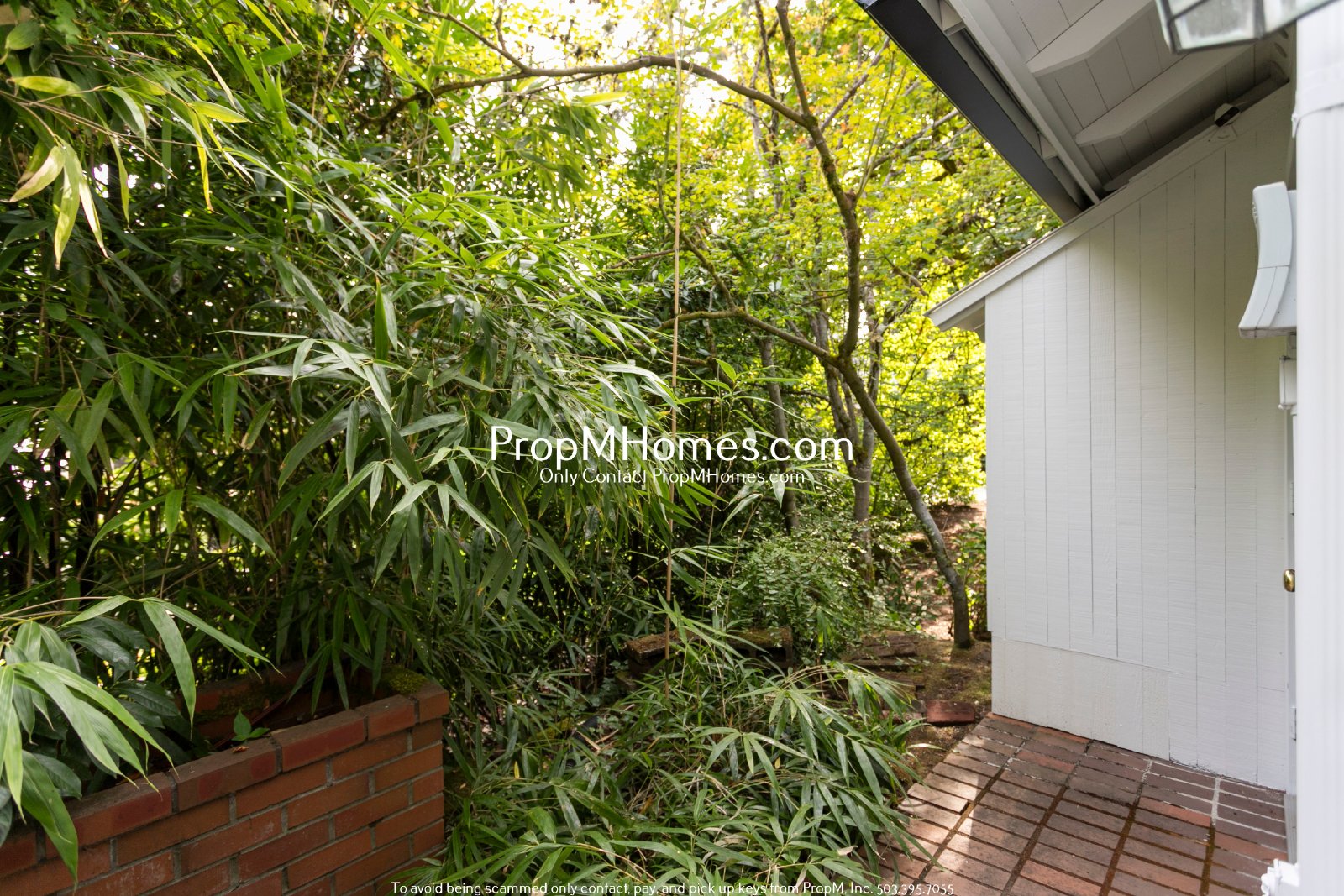 Beautiful Lake Oswego Home with 4 Bedrooms, 3 Baths & Entertaining Spaces property image