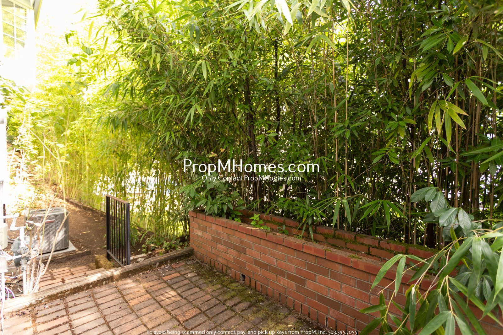 Beautiful Lake Oswego Home with 4 Bedrooms, 3 Baths & Entertaining Spaces property image
