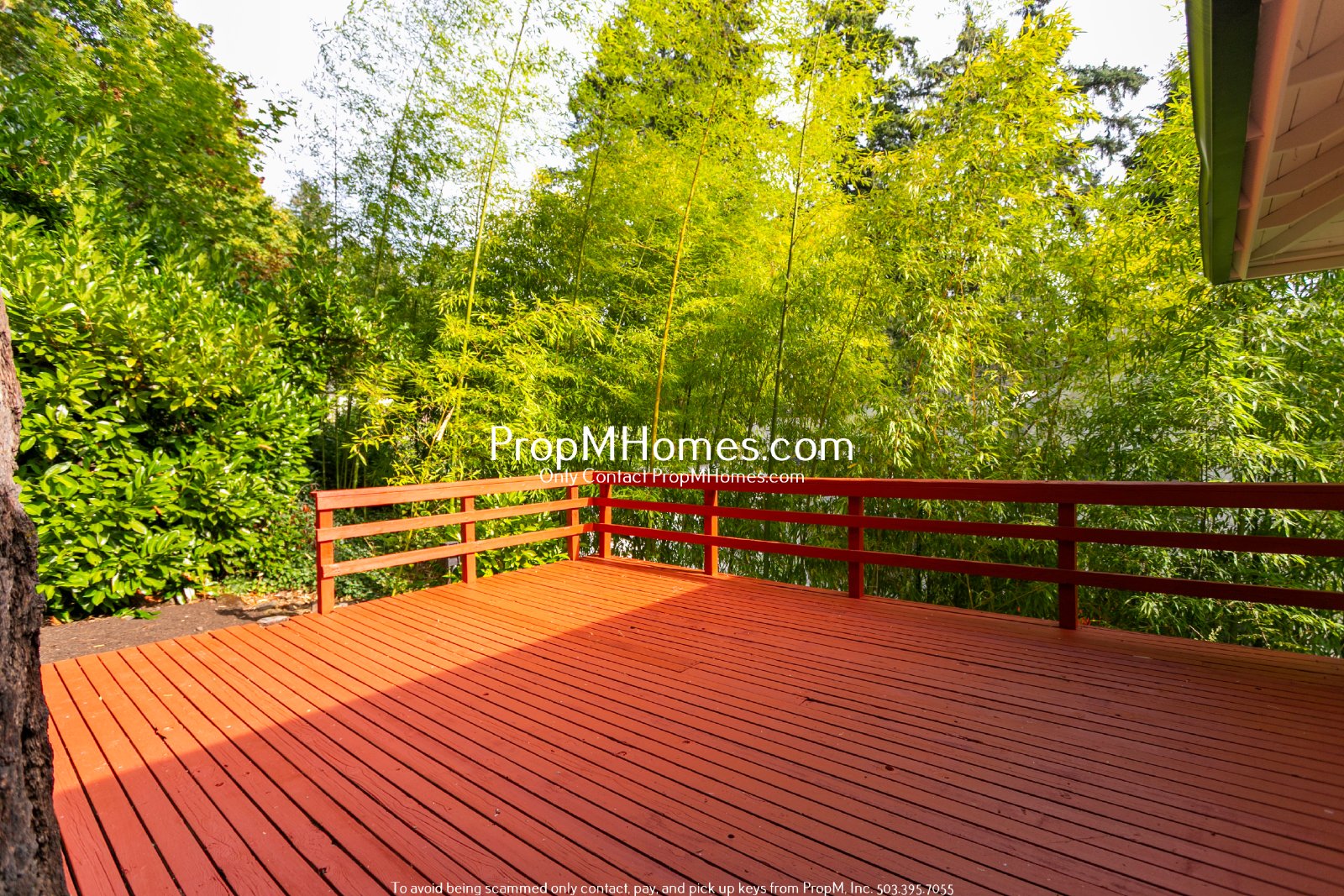 Beautiful Lake Oswego Home with 4 Bedrooms, 3 Baths & Entertaining Spaces property image