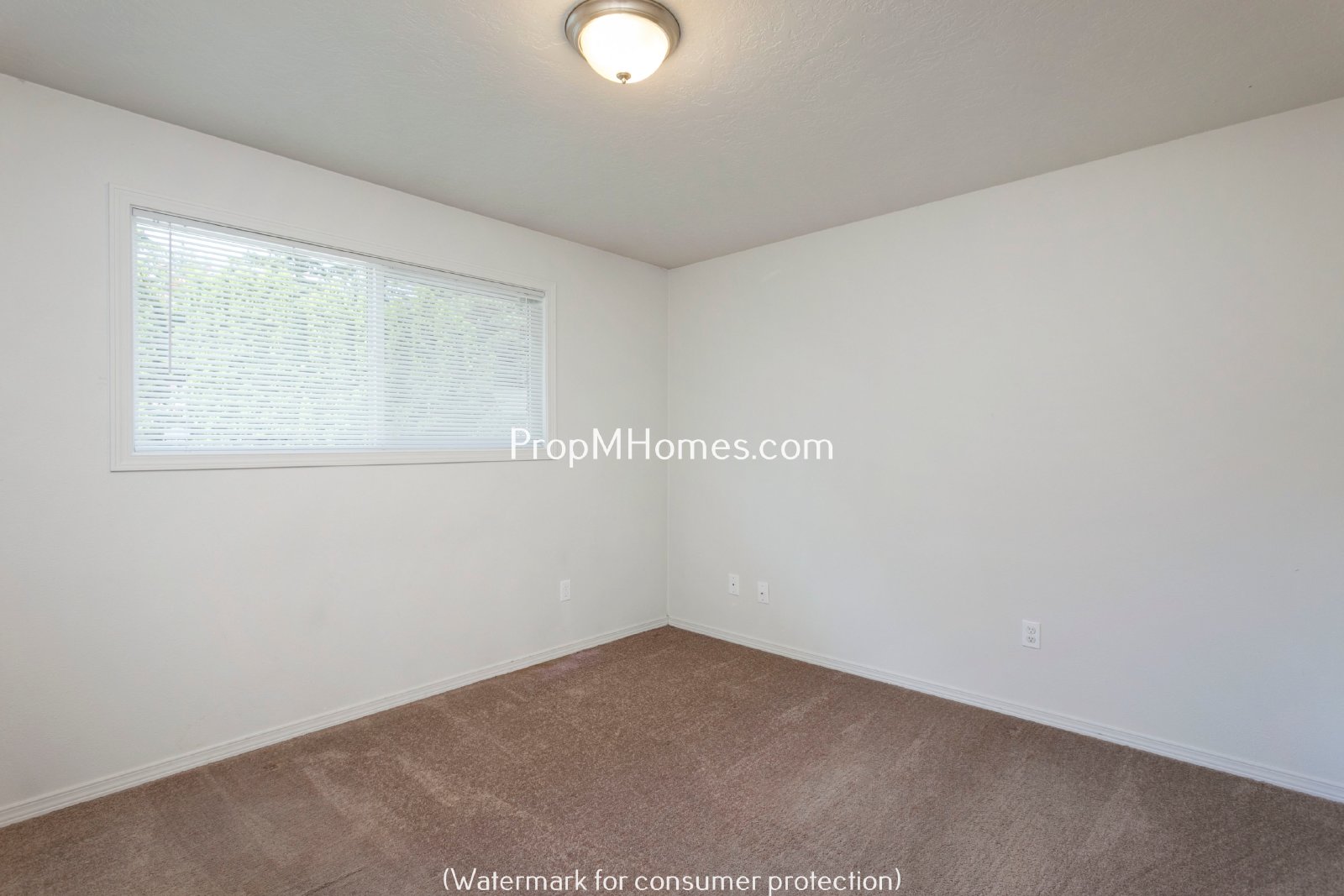 Two Bedroom Apartment with Private Patio in Glenfair Neighborhood! property image