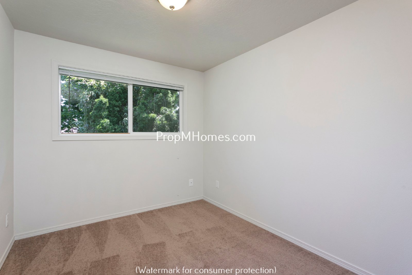 Two Bedroom Apartment with Private Patio in Glenfair Neighborhood! property image