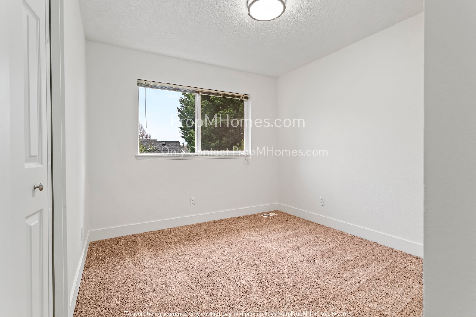 Updated Four Bedroom Home in Oak Hills! property image