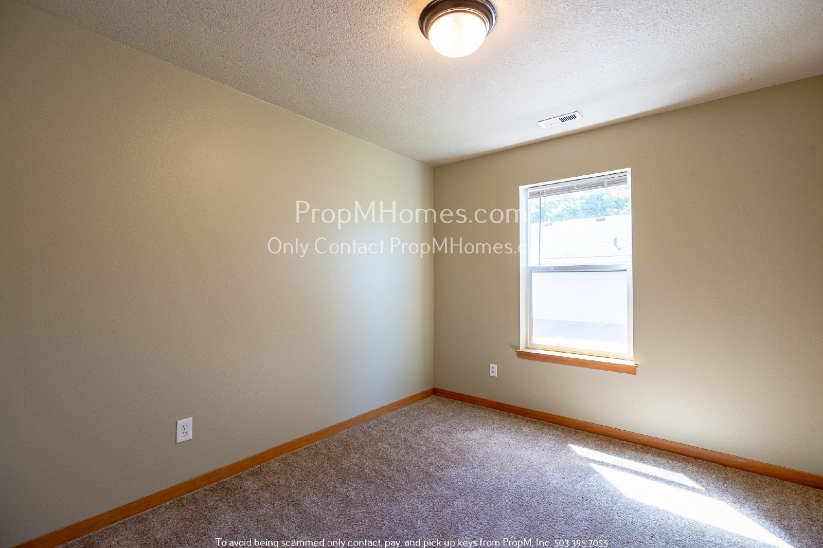 Charming Three Bedroom, Two and Half Bath in PowellHurst-Gilbert Neighborhood! property image