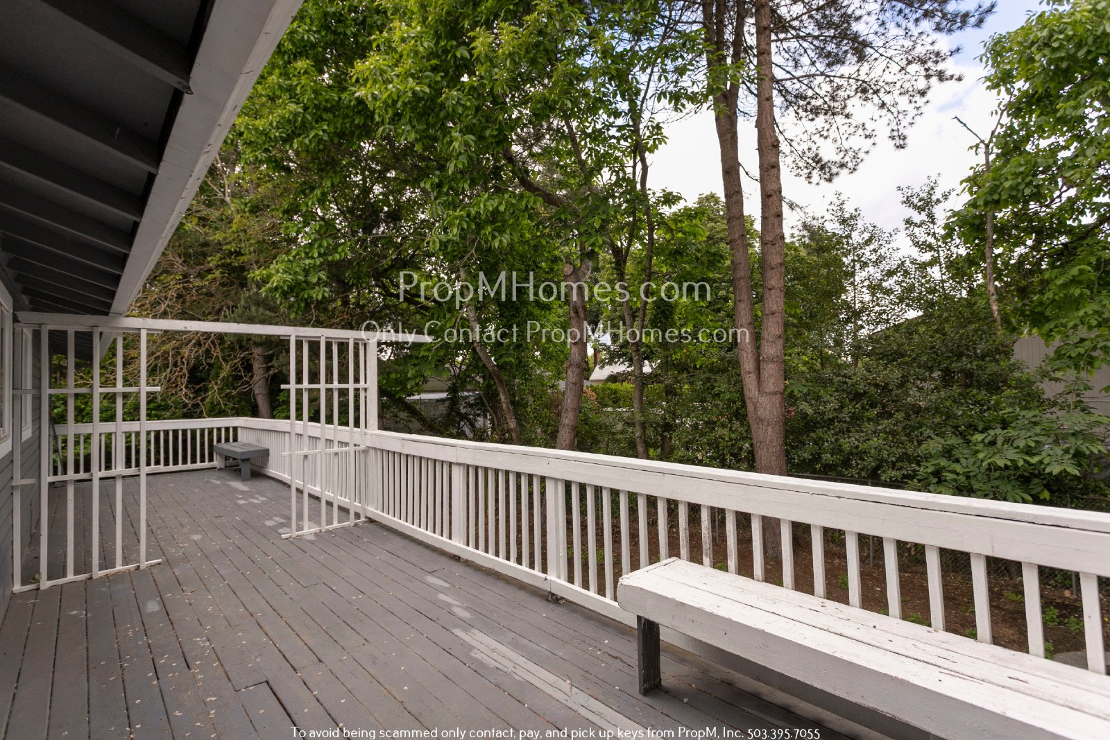 Secluded Nature Retreat: 3 Beds, 2 Baths with Bonus Space! property image