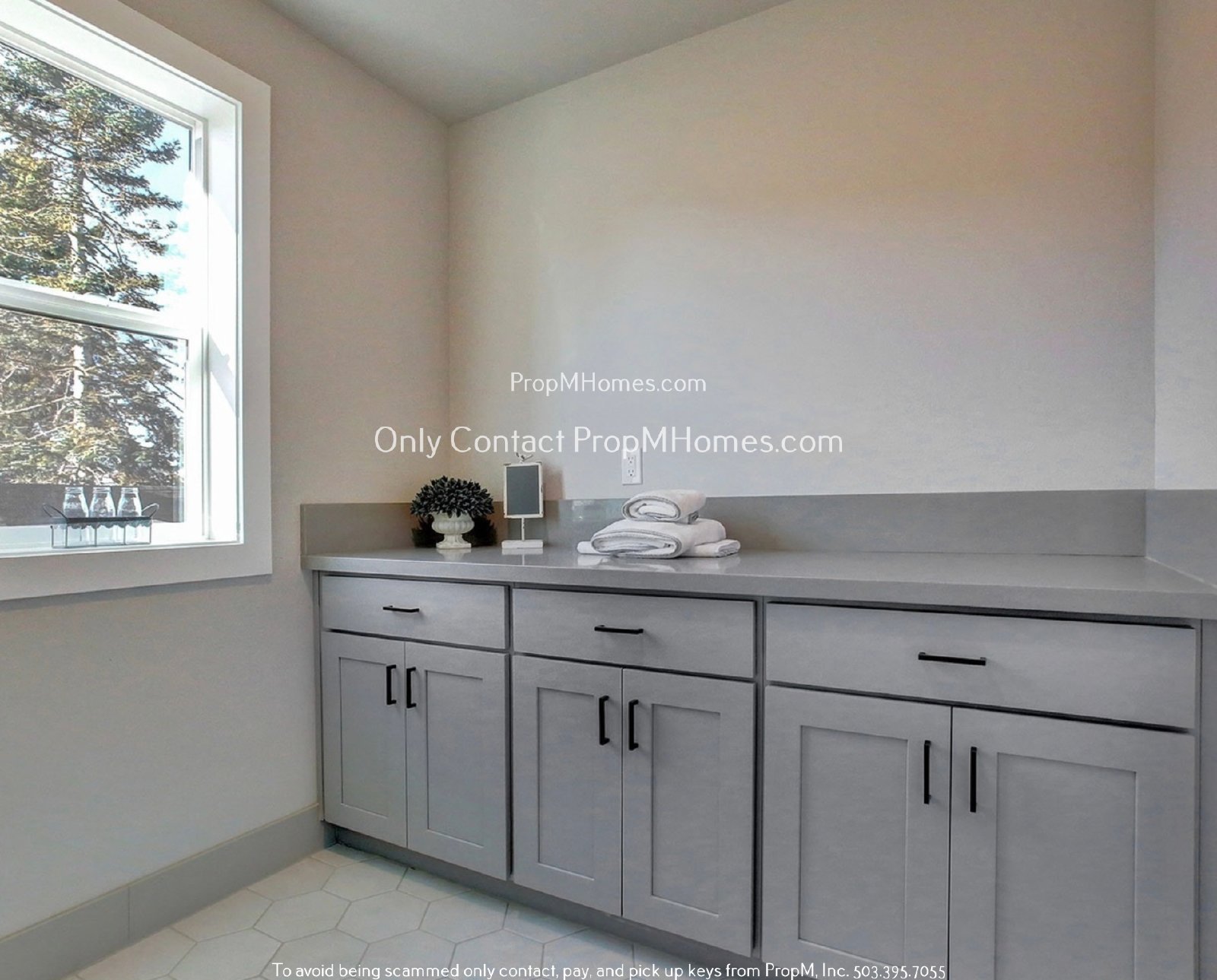 Modern Home in Highly Sought-After Piedmont Neighborhood! property image