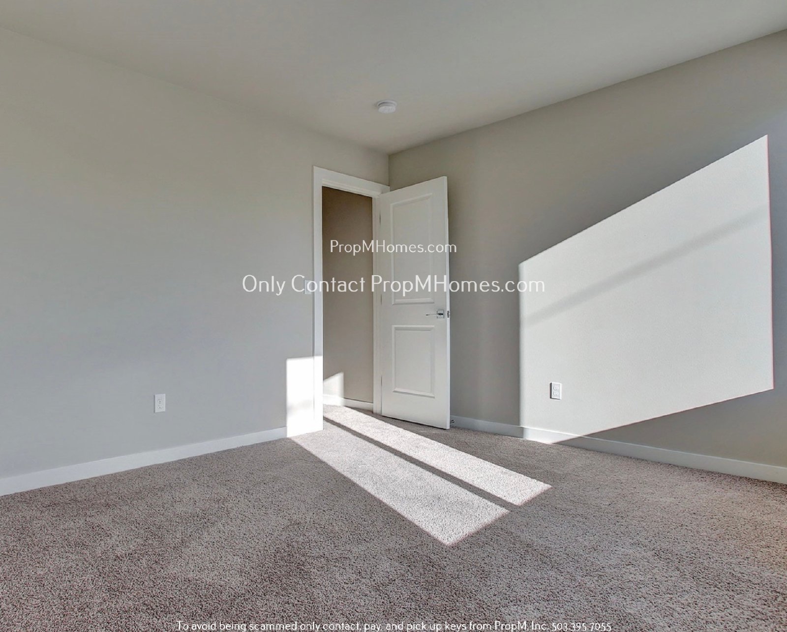 Modern Home in Highly Sought-After Piedmont Neighborhood! property image