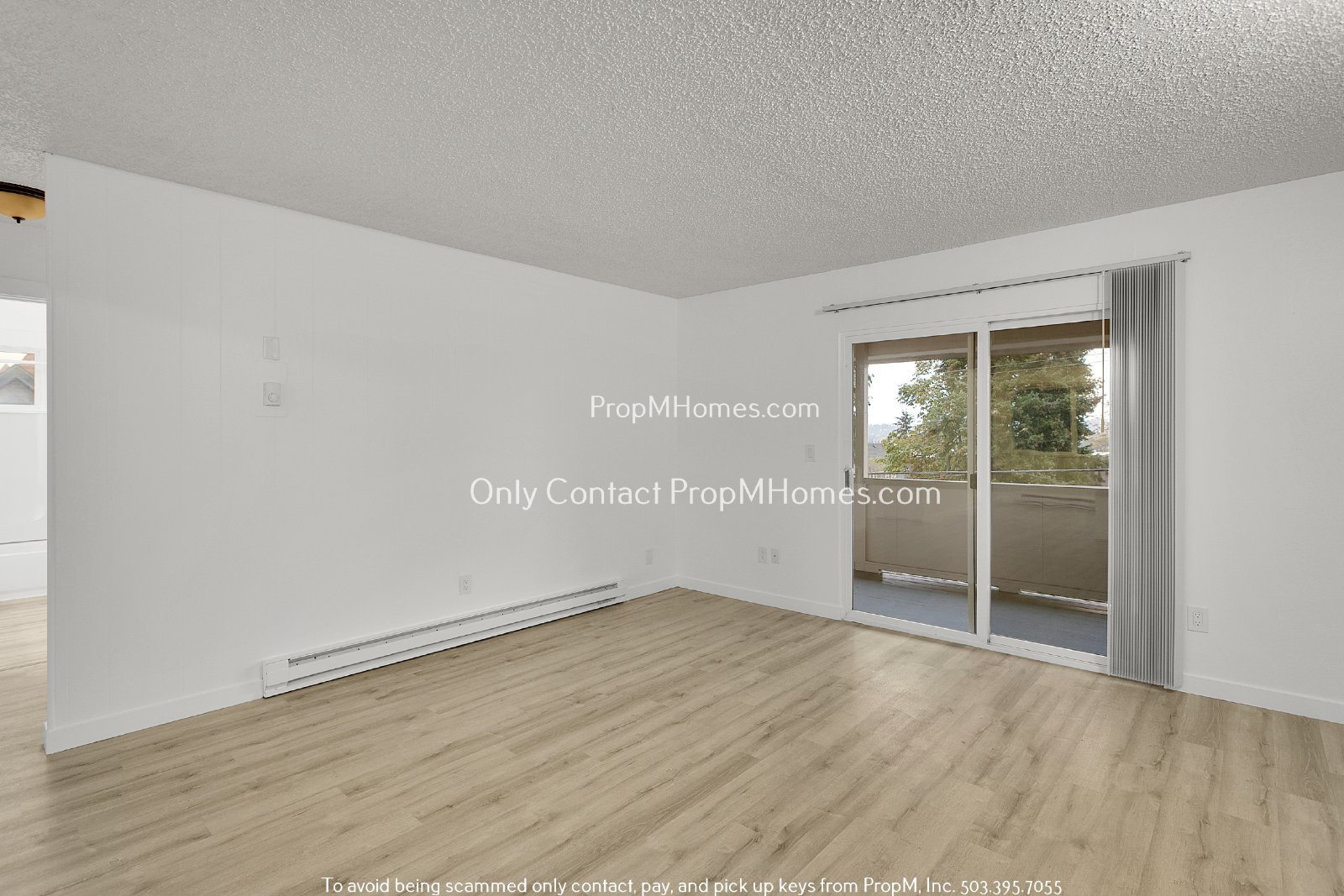 Updated Two Bedroom Unit - First Month Free! property image