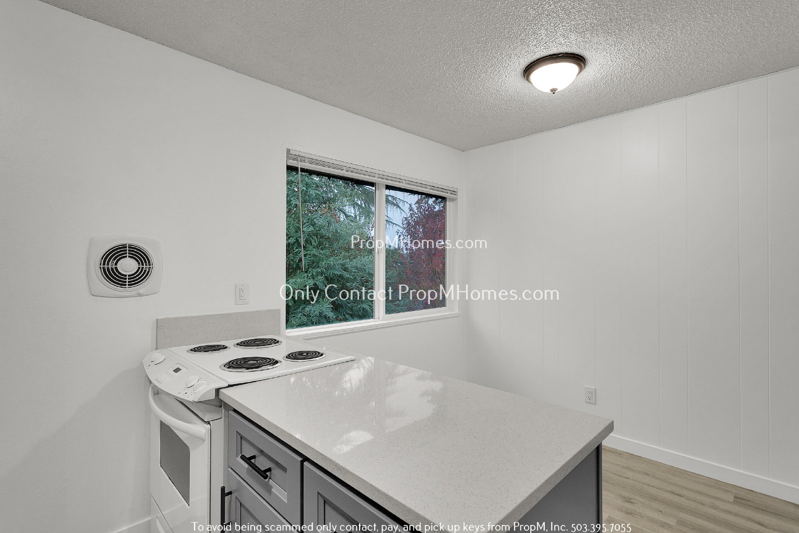 Updated Two Bedroom Unit - First Month Free! property image