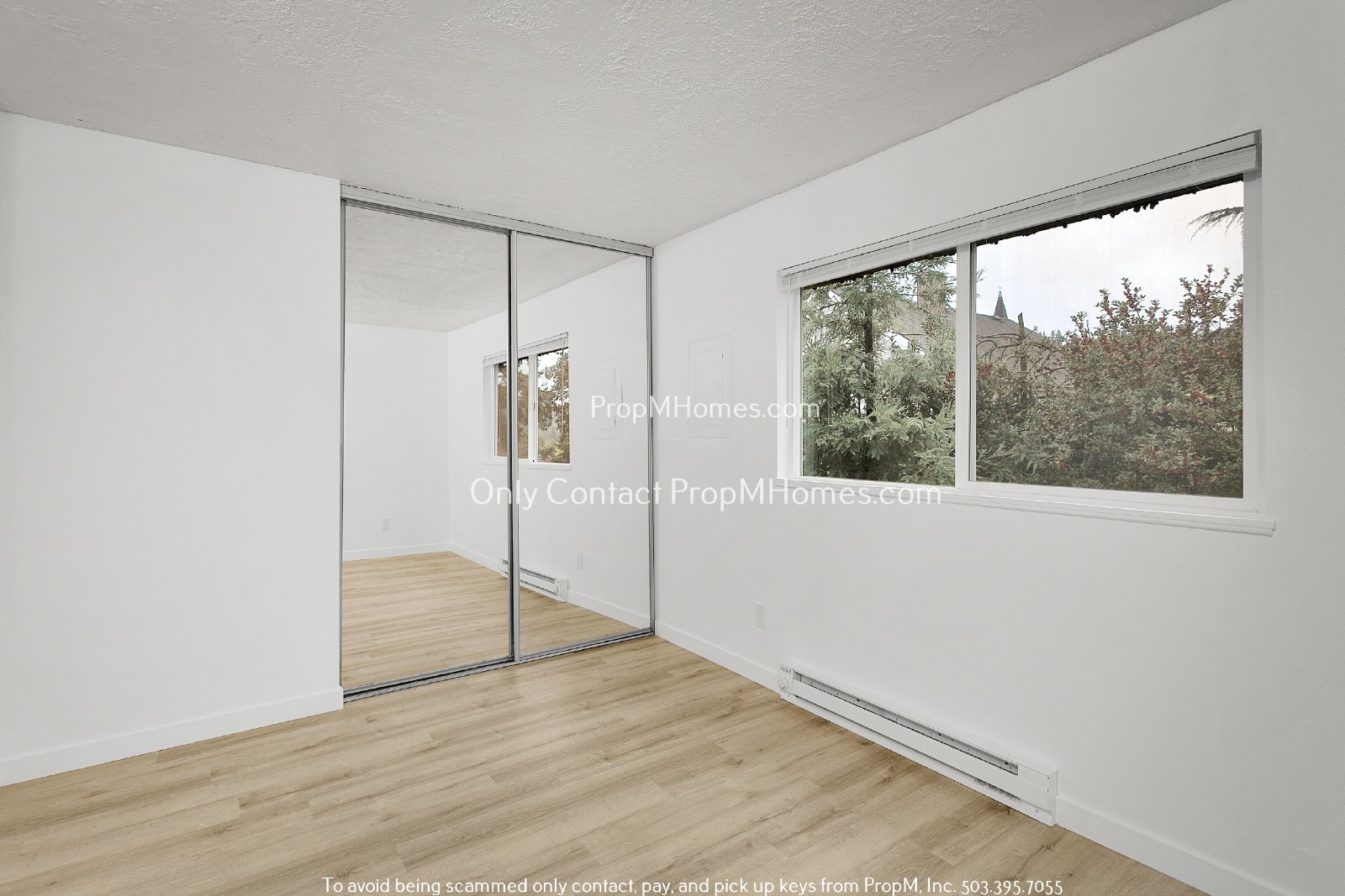 Updated Two Bedroom Unit - First Month Free! property image