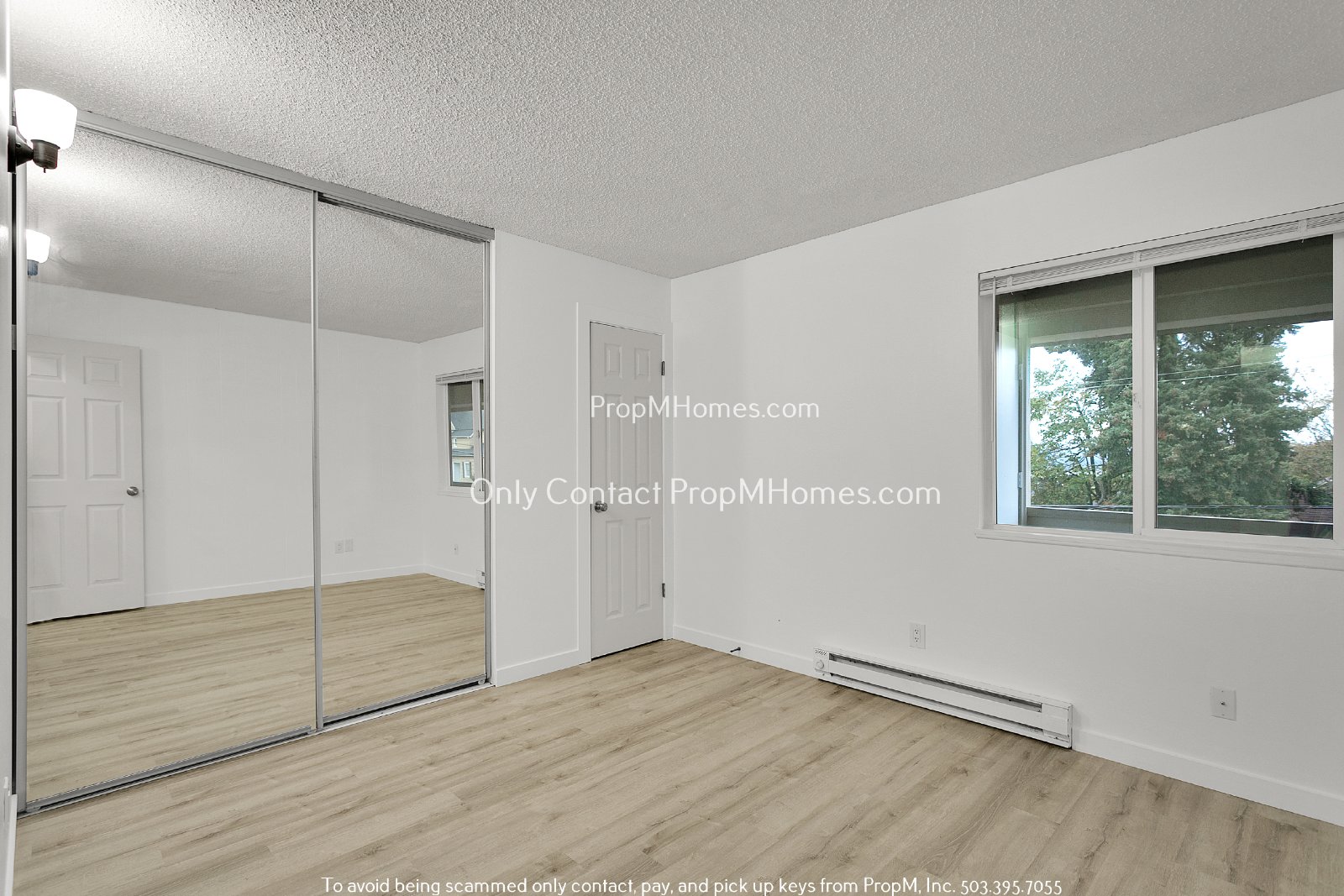 Updated Two Bedroom Unit - First Month Free! property image