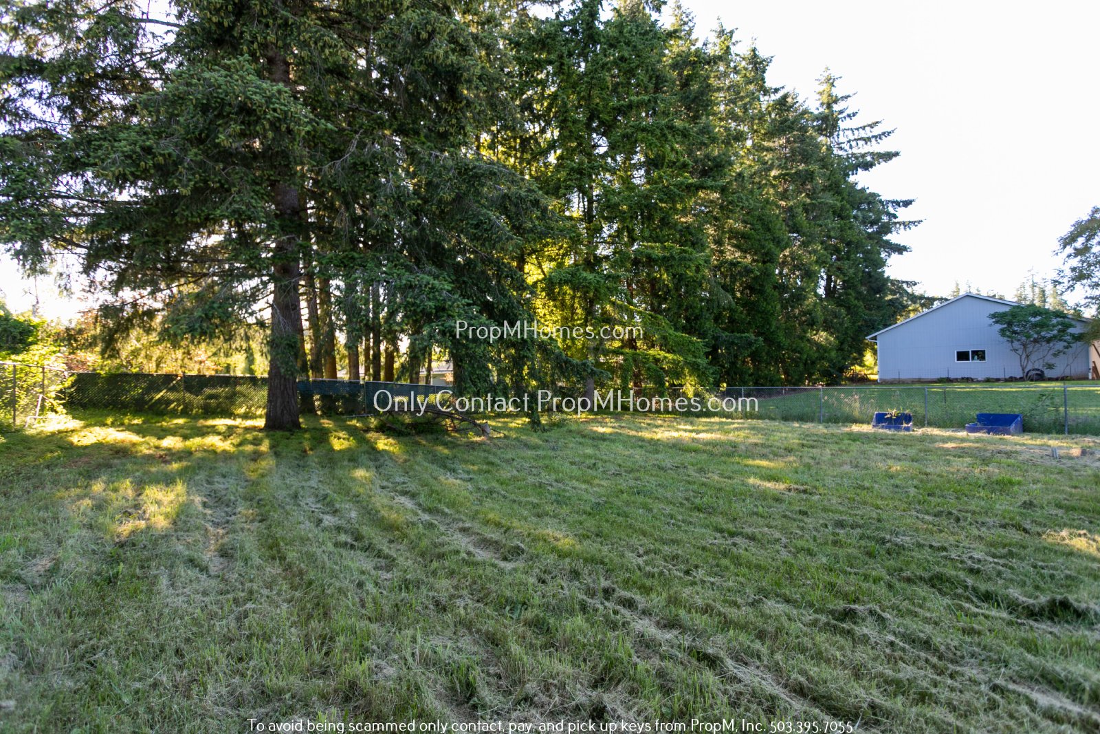 Charming Oregon City Home on 1/2 Acre - Fully Fenced Yard! property image