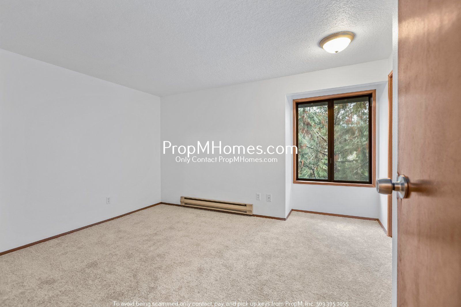 Retro-Chic Home with Park Like Setting! property image