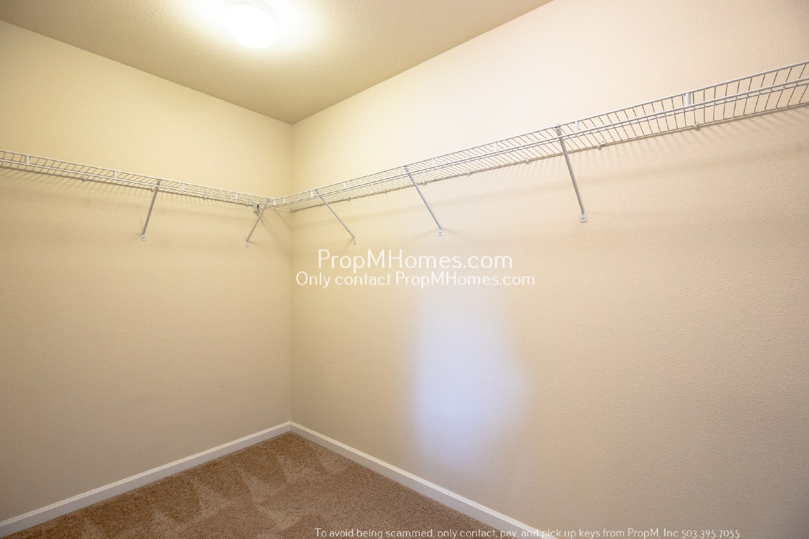 Spacious Four-Bedroom Gem with a Bonus Room! property image