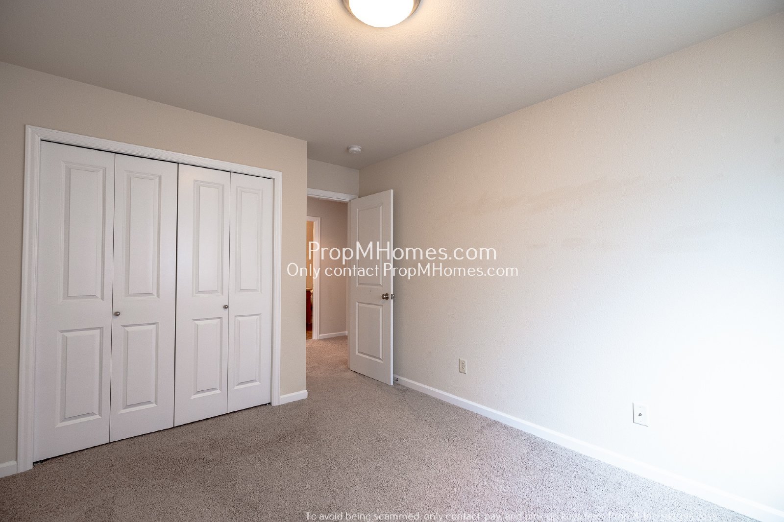 Spacious Four-Bedroom Gem with a Bonus Room! property image