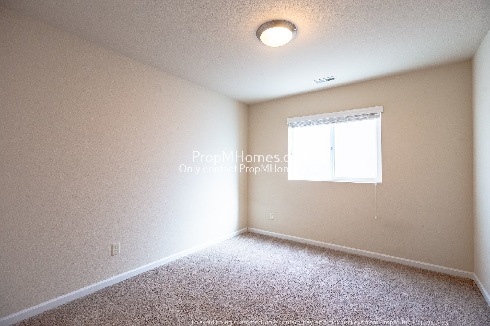 Spacious Four-Bedroom Gem with a Bonus Room! property image