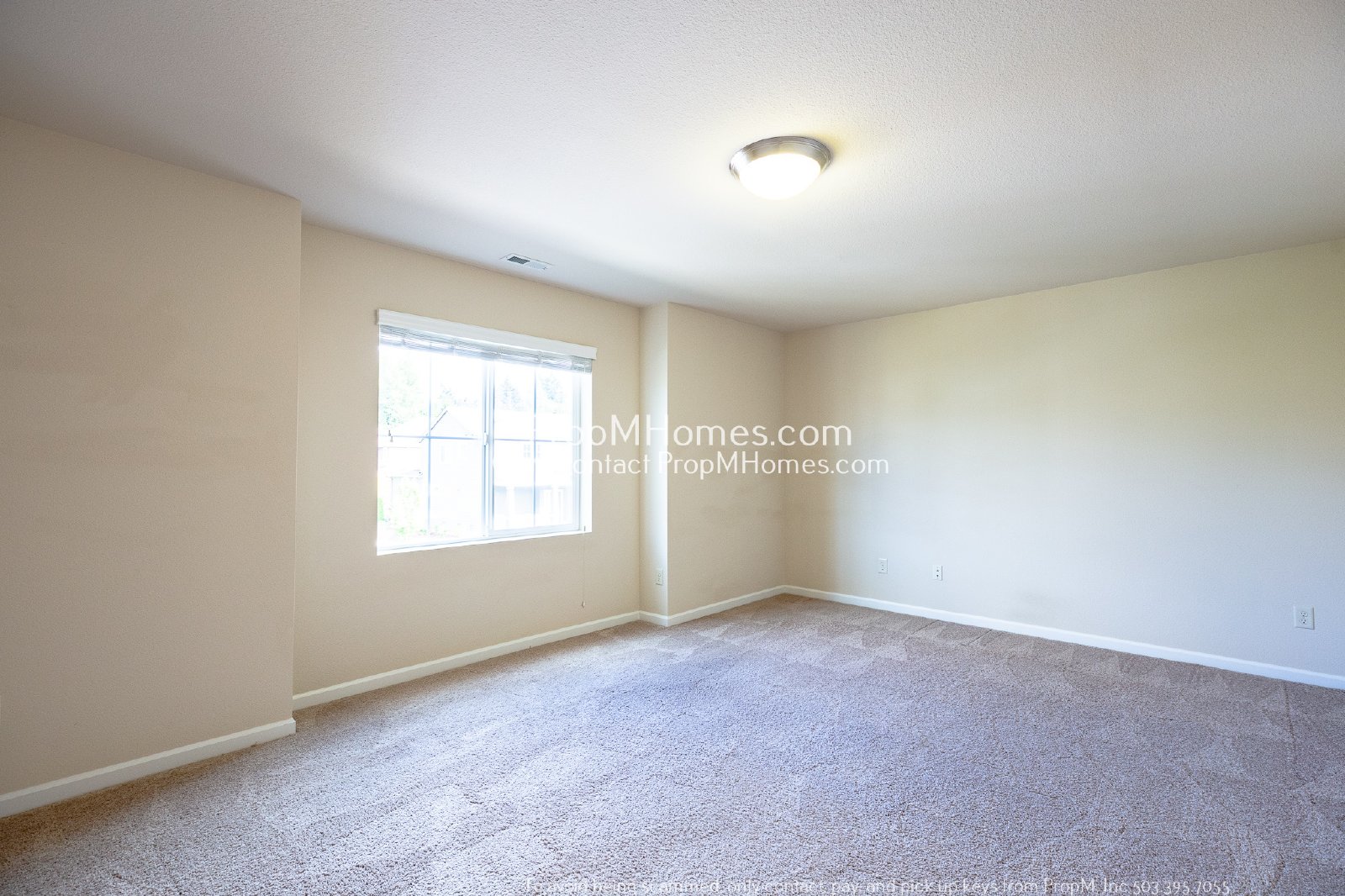 Spacious Four-Bedroom Gem with a Bonus Room! property image