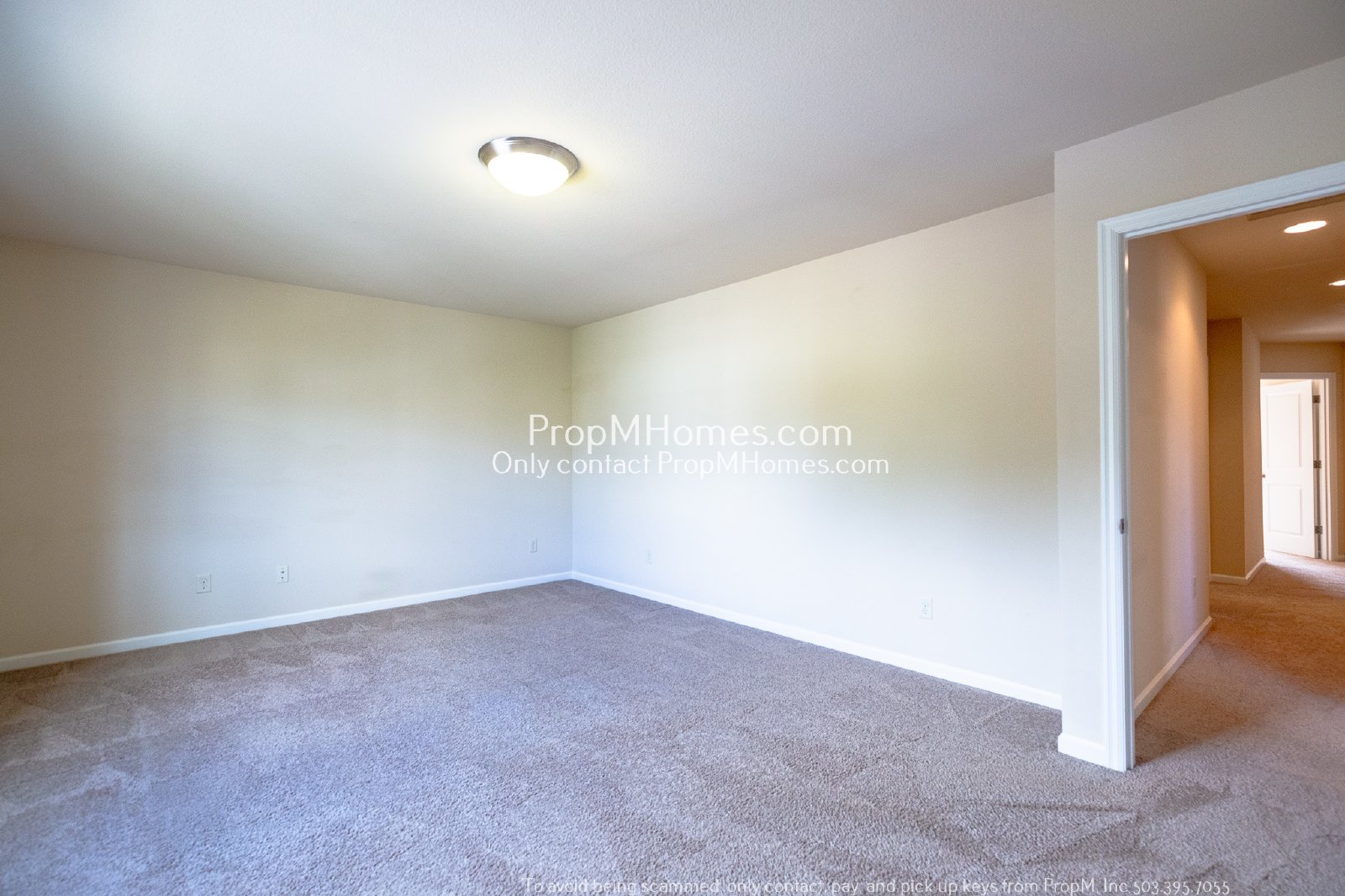 Spacious Four-Bedroom Gem with a Bonus Room! property image