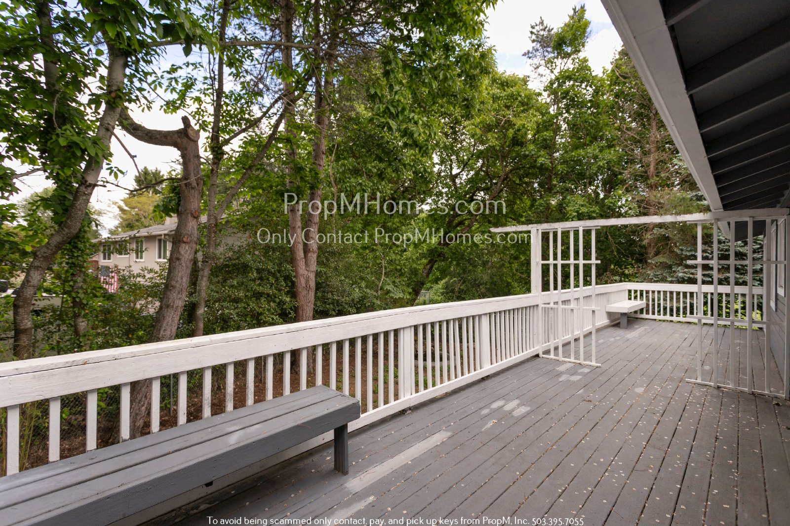 Secluded Nature Retreat: 3 Beds, 2 Baths with Bonus Space! property image