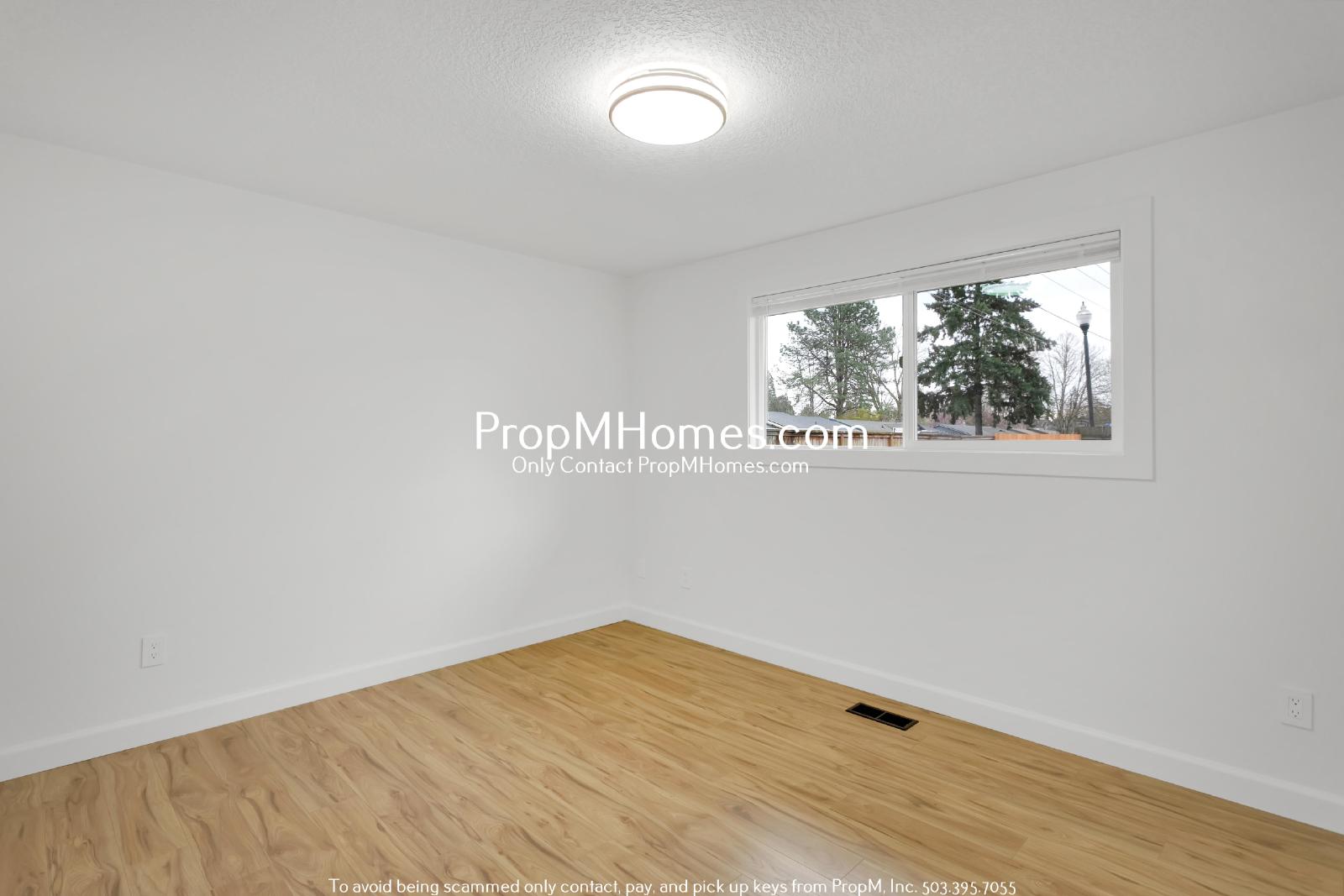 Newly Updated 3 Bedroom Aloha Home - Huge Yard! property image