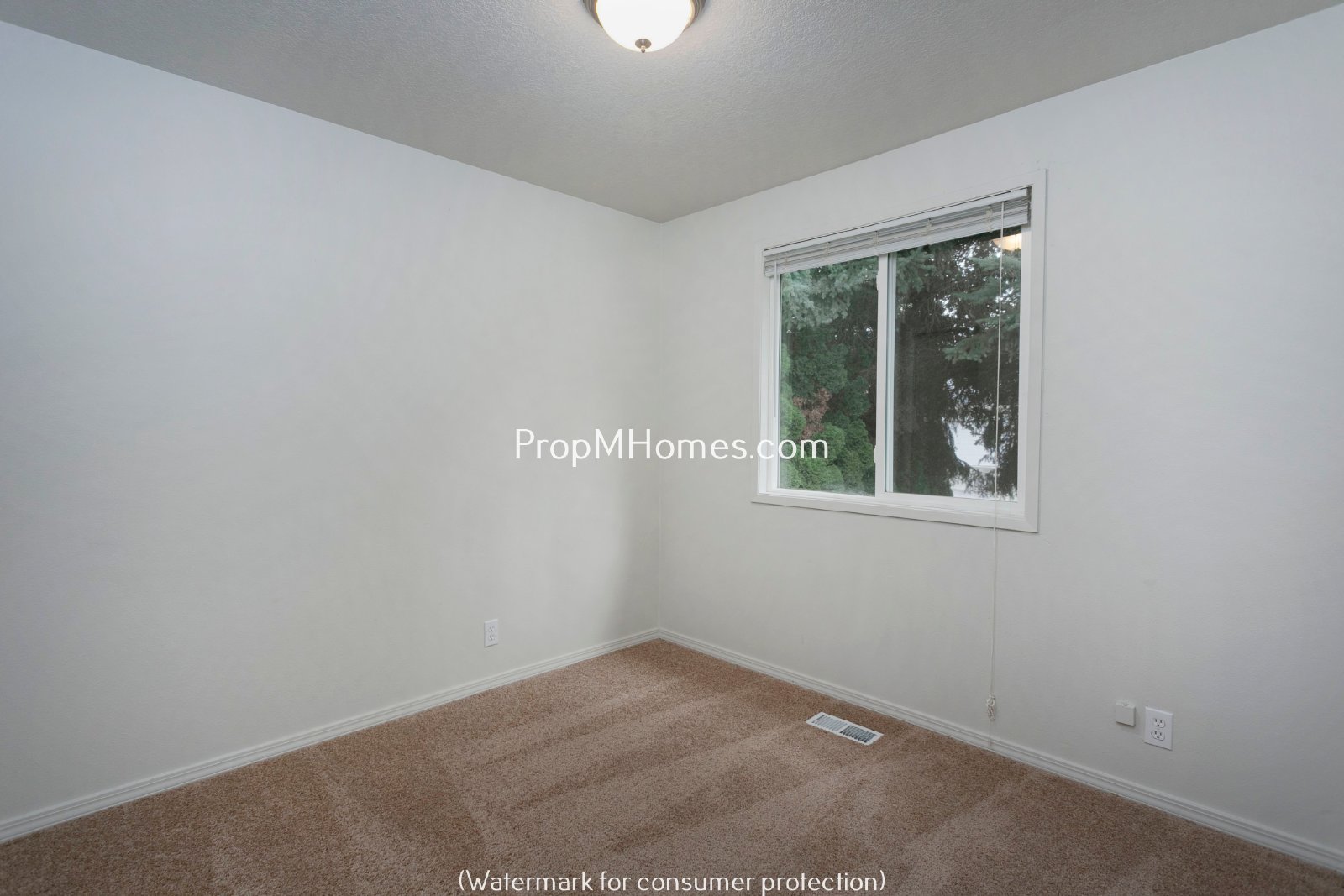 Quaint Ranch Style Home with Fenced Yard! property image