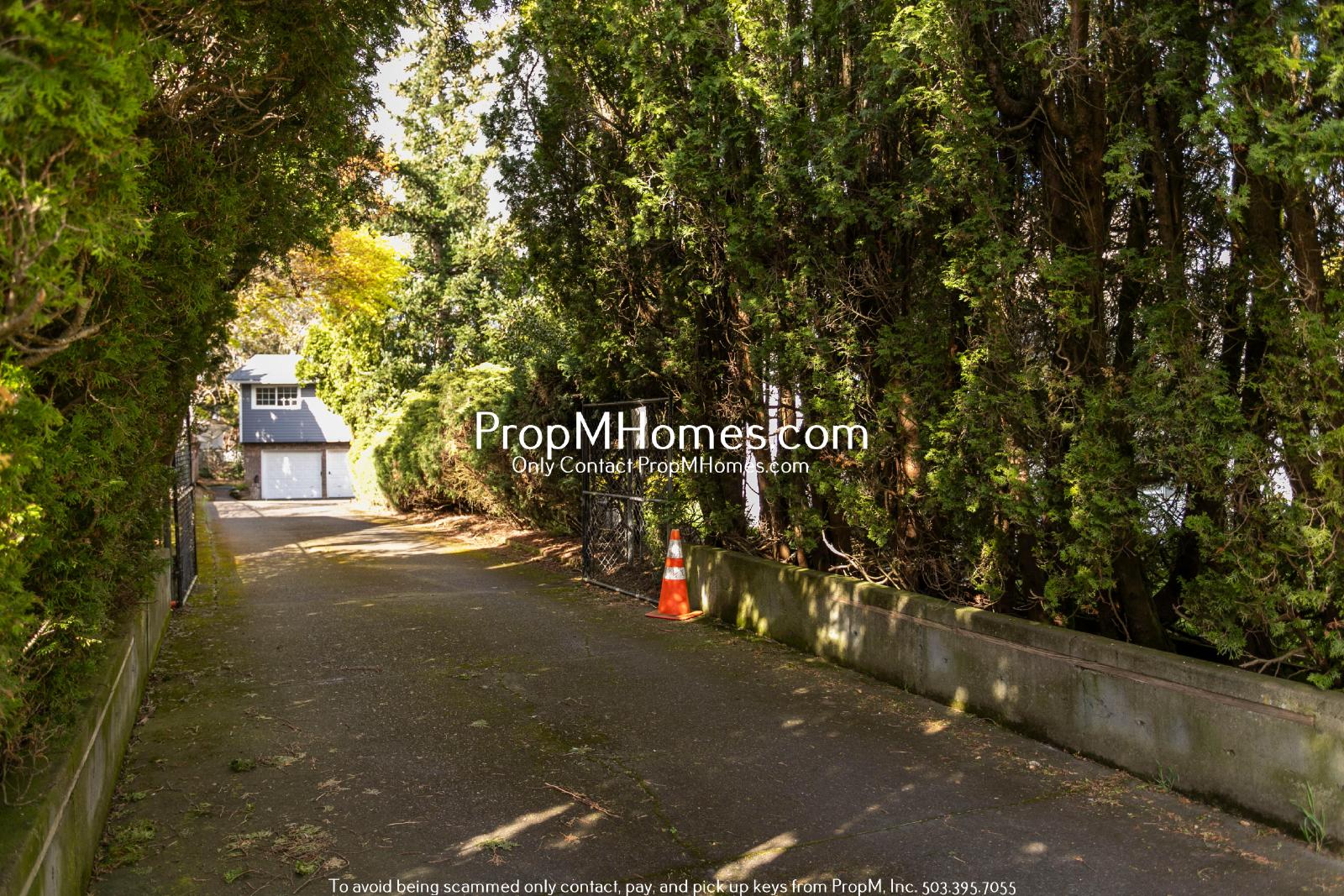 Secluded Nature Retreat: 4 Bedrooms! property image