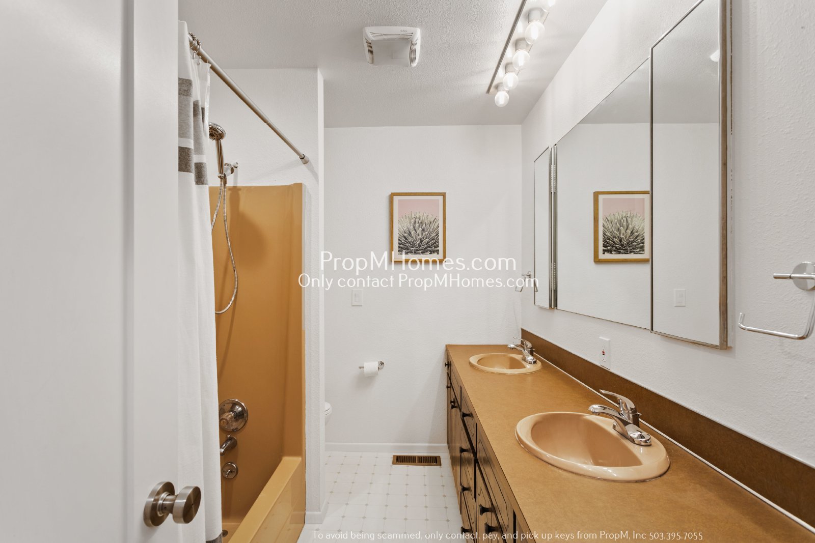 Mid-Century Modern Three Bedroom in Happy Valley! property image