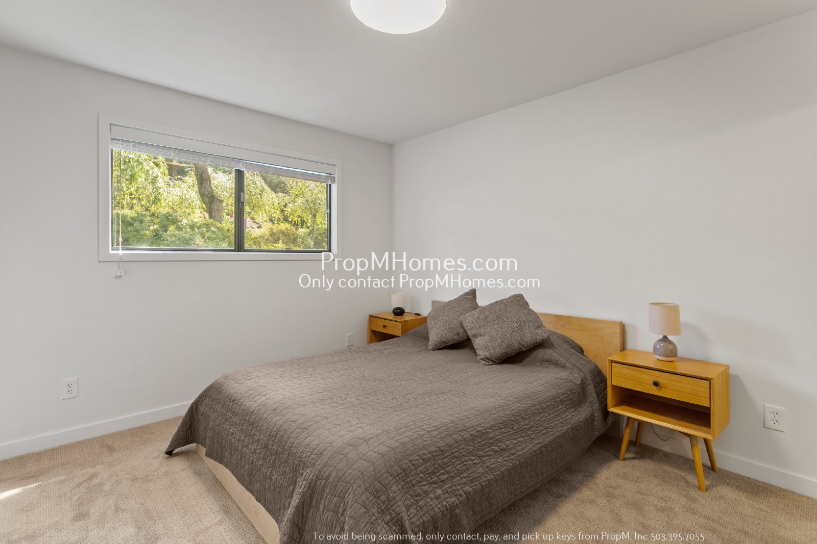 Mid-Century Modern Three Bedroom in Happy Valley! property image