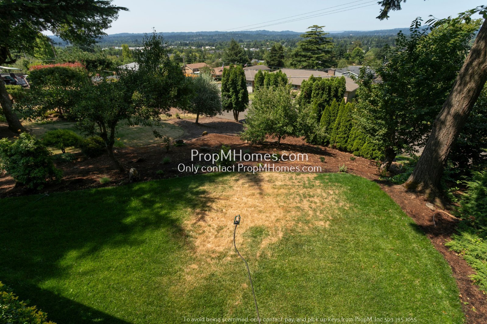 Mid-Century Modern Three Bedroom in Happy Valley! property image