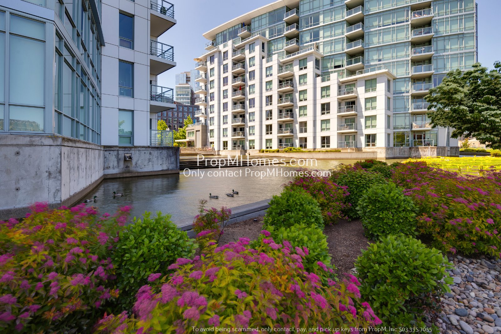 Luxurious One Bedroom Condo at the Pearl District Waterfront! property image
