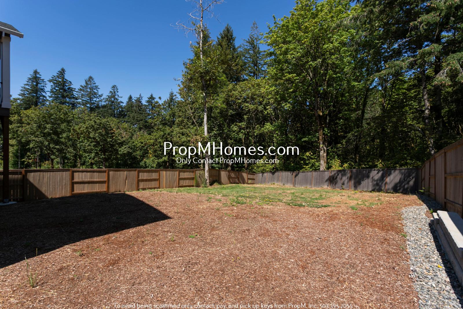 New Three Bedroom Home at Scouters Mountain! property image