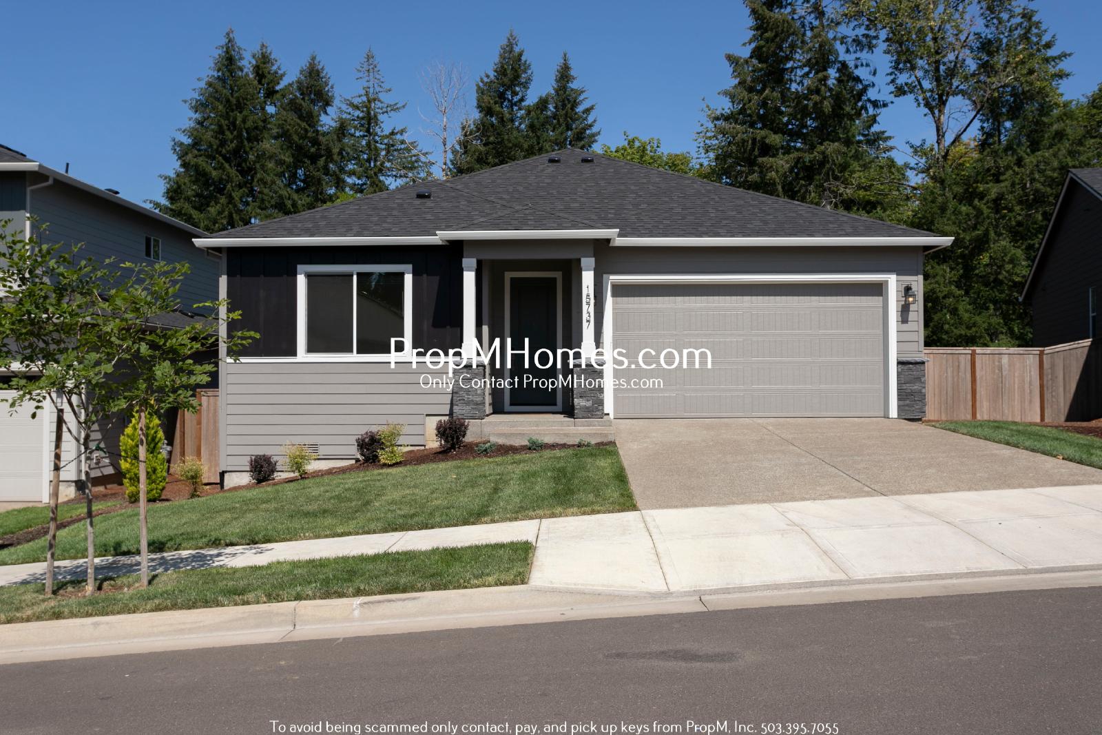 New Three Bedroom Home at Scouters Mountain! property image