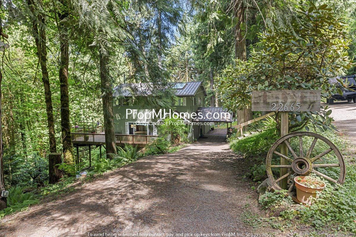 Rare Home Find - Forest Setting Right Outside of Sherwood! property image